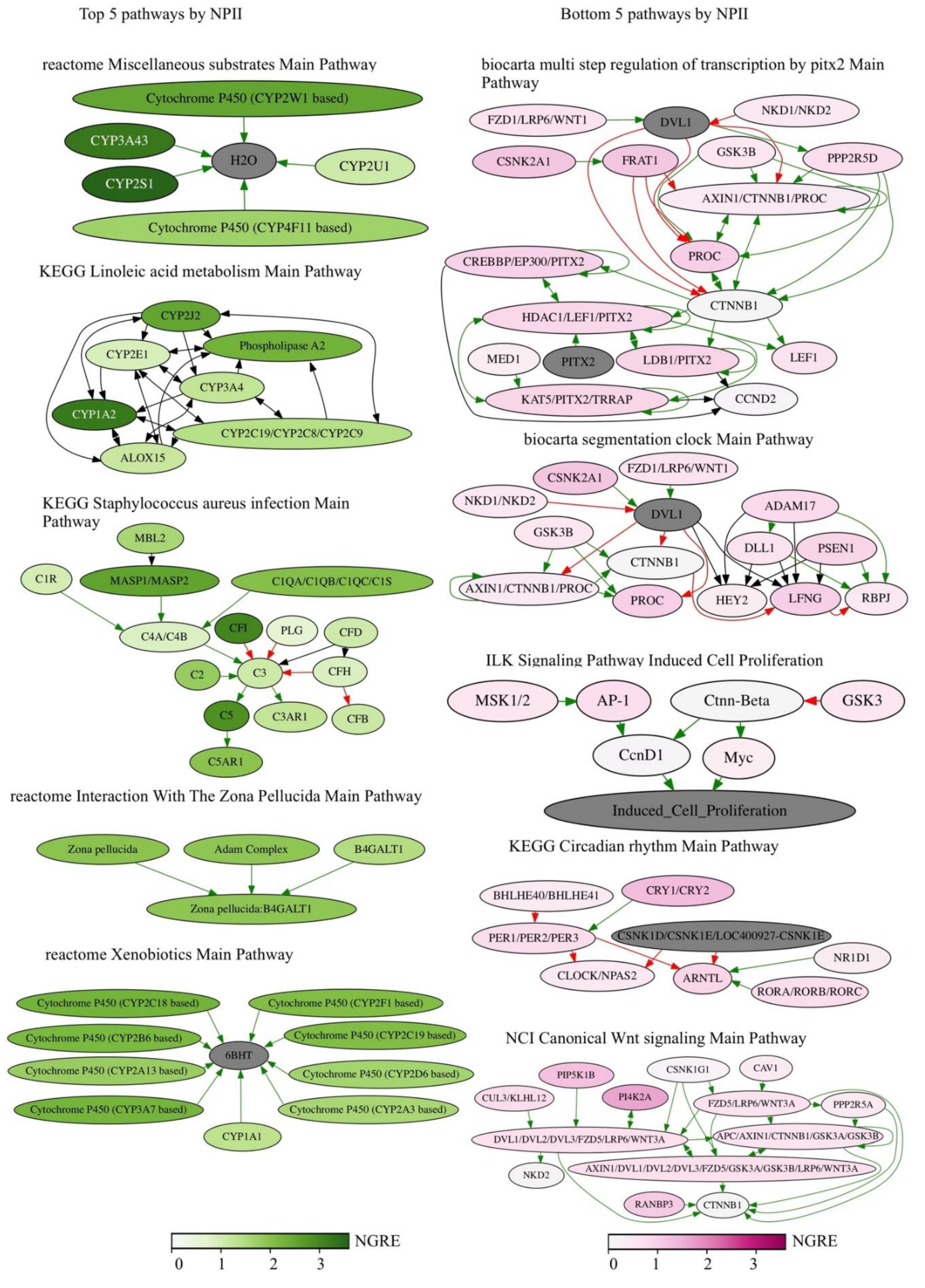 Cells 08 00130 g006 550