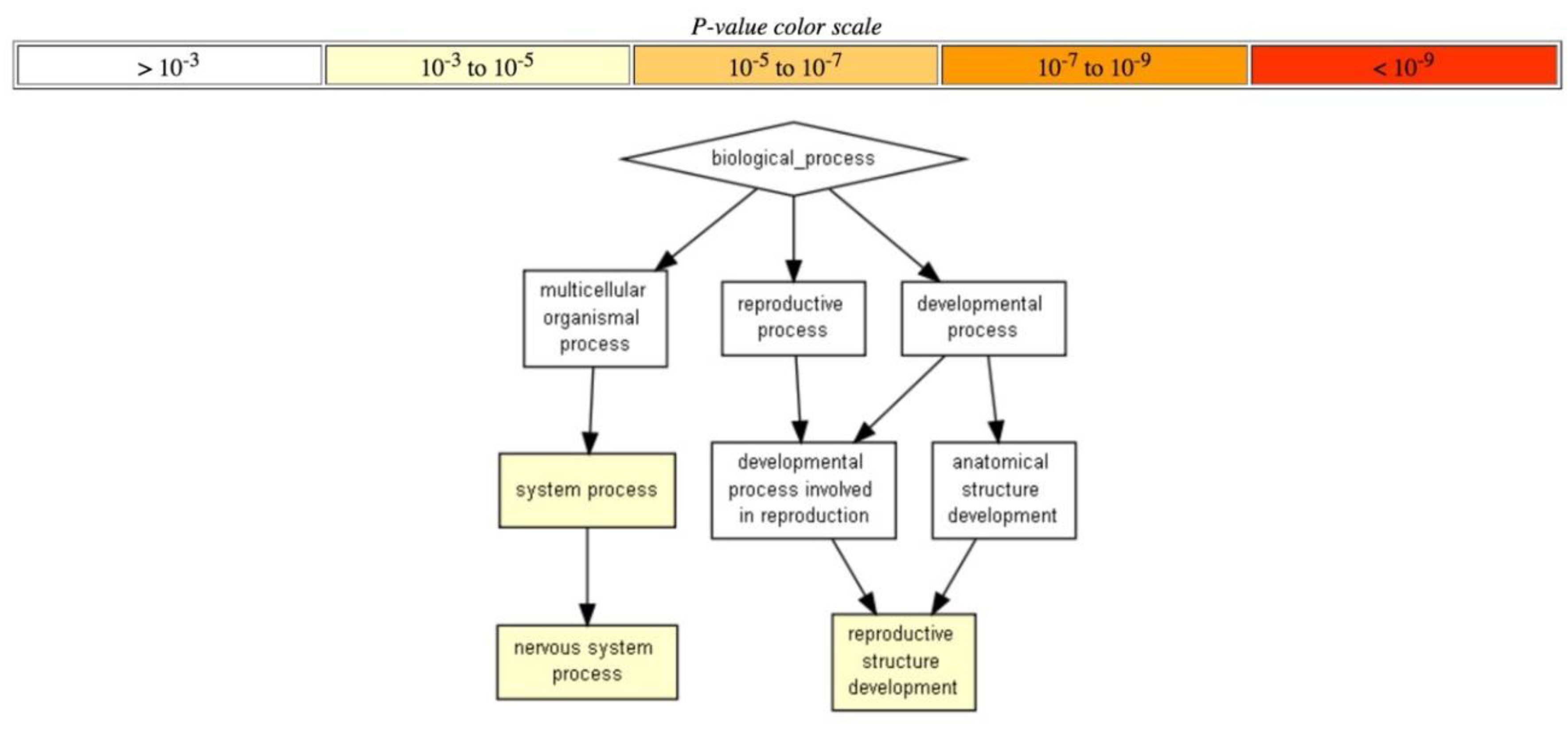 Cells 08 00130 g009 550