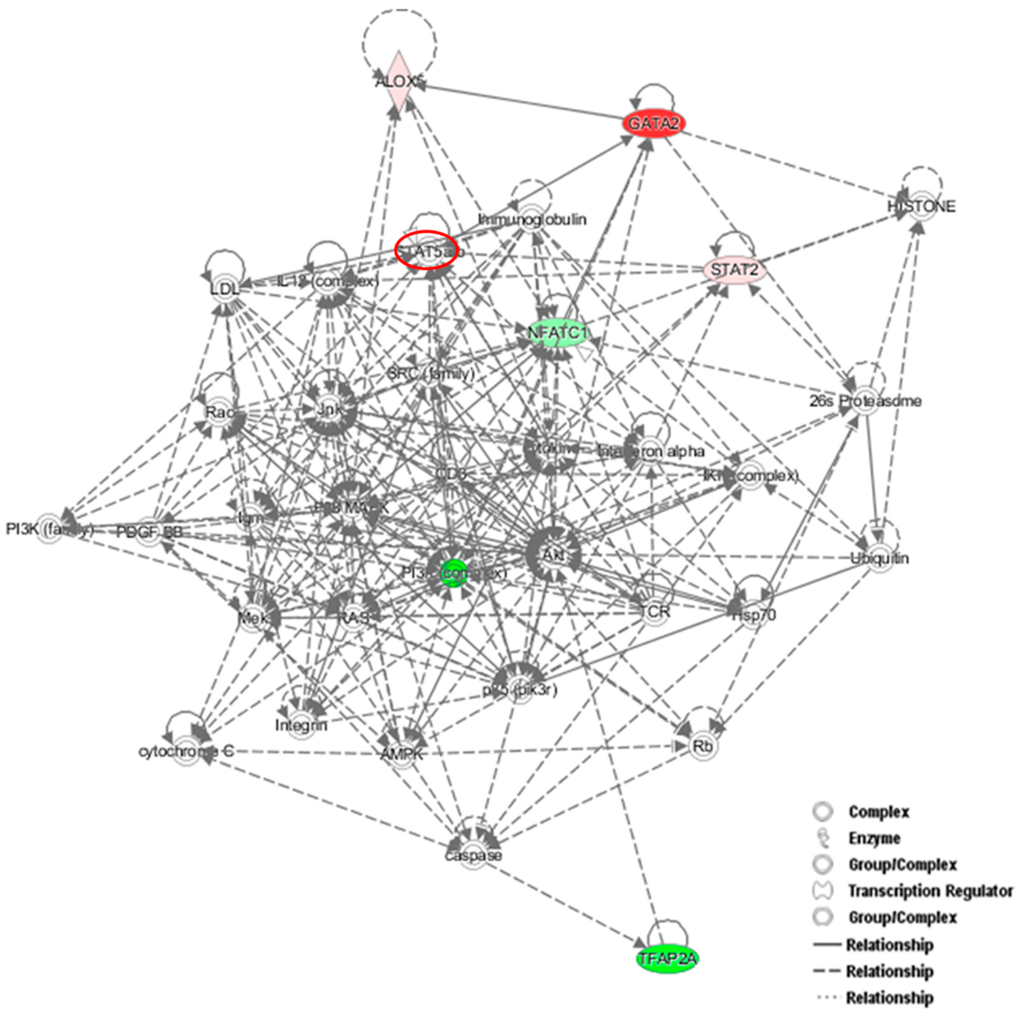 Cells 08 00131 g006 550