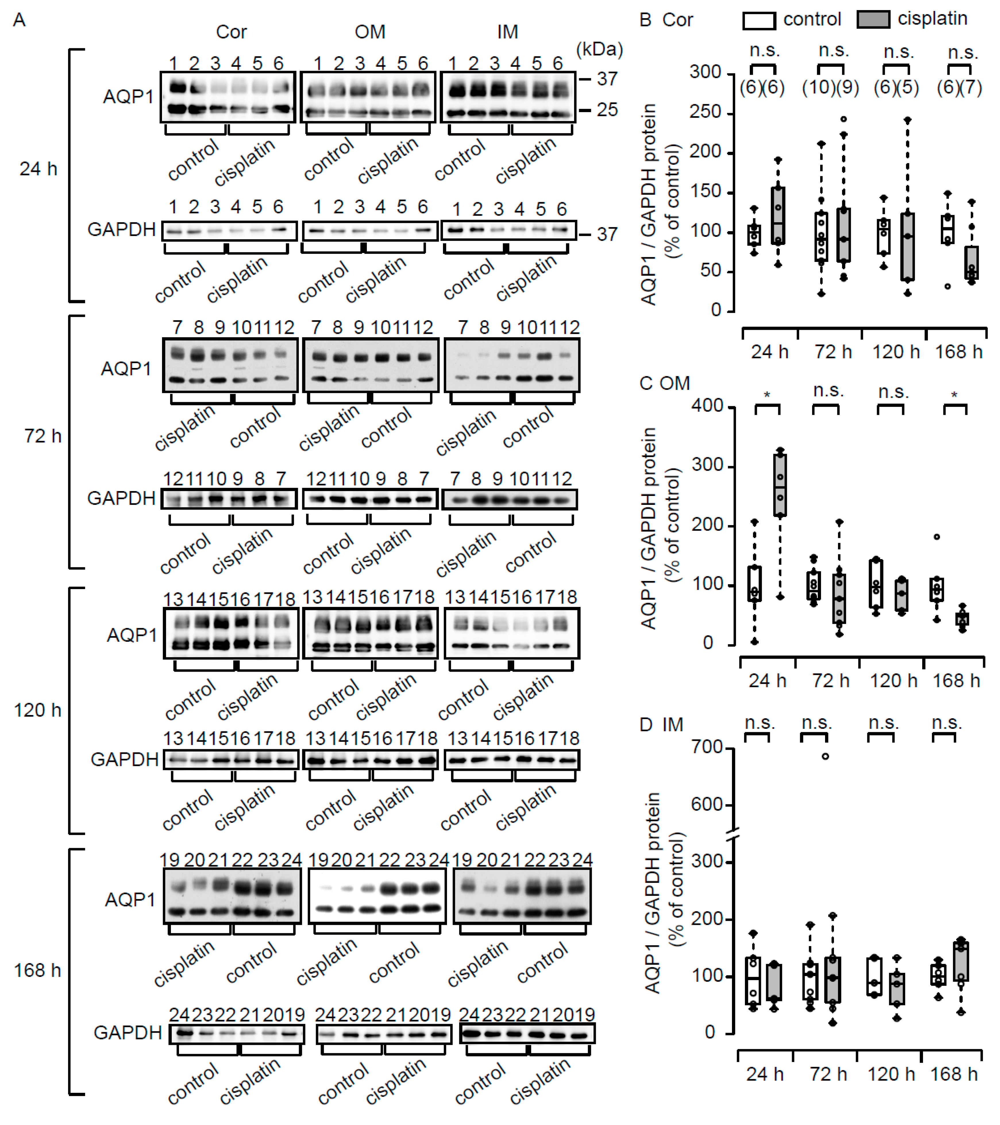 Cells 08 00139 g004 550