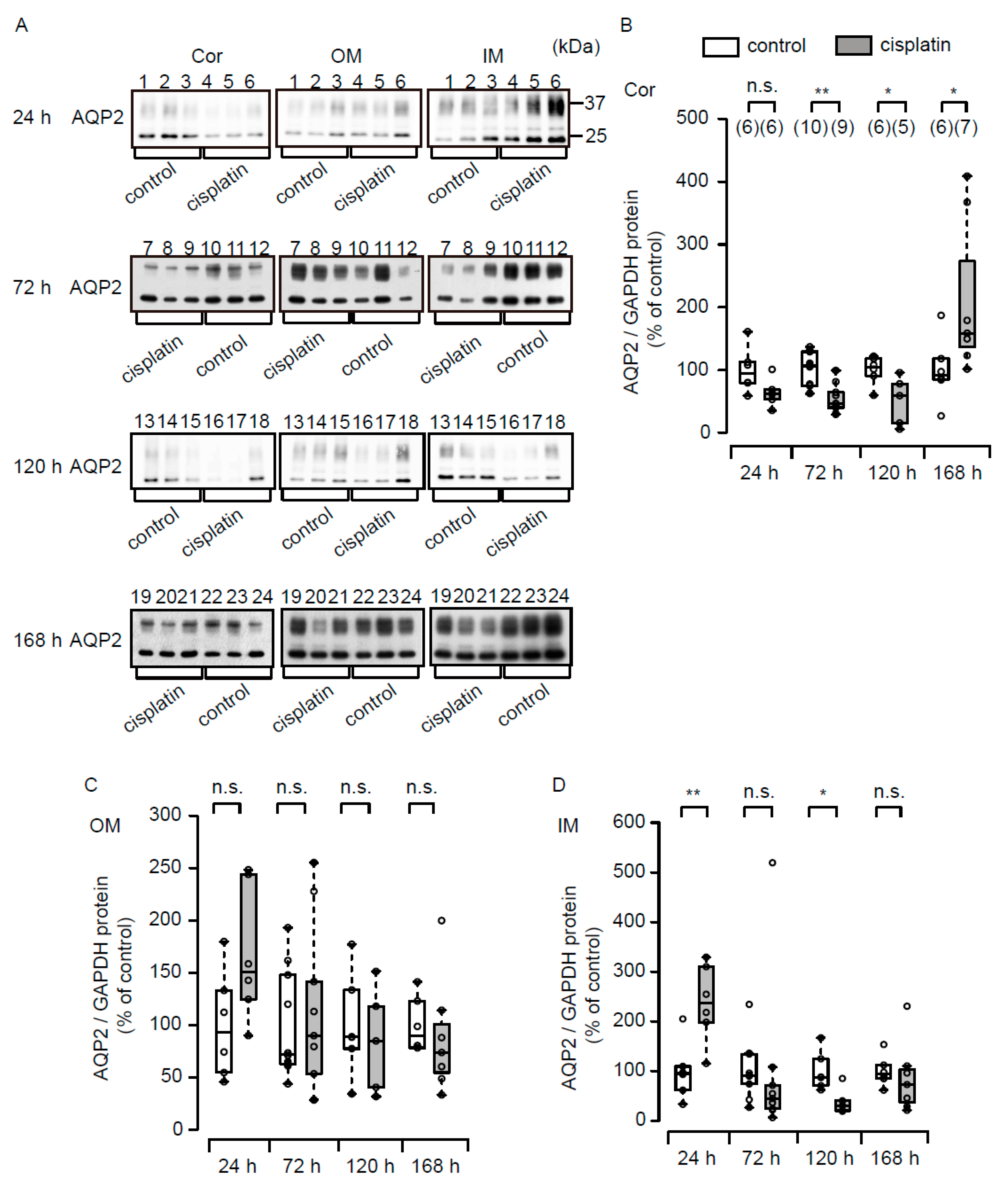 Cells 08 00139 g005 550