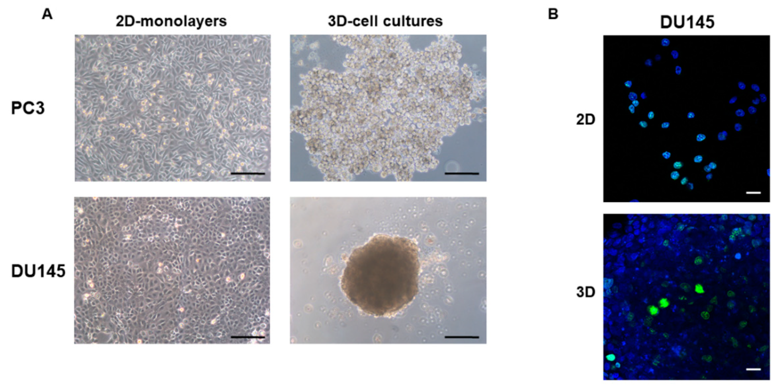 Cells 08 00143 g001