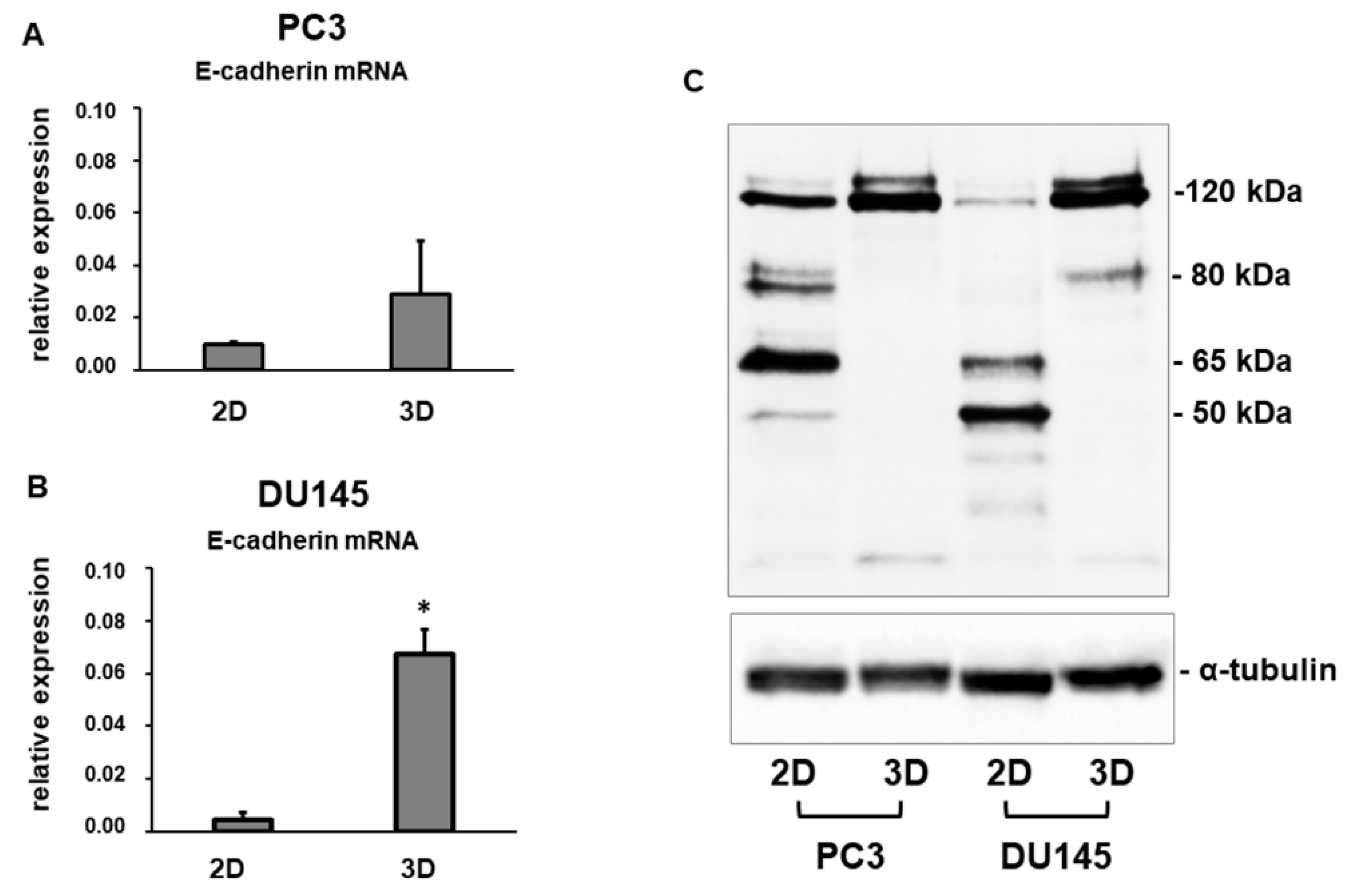 Cells 08 00143 g004