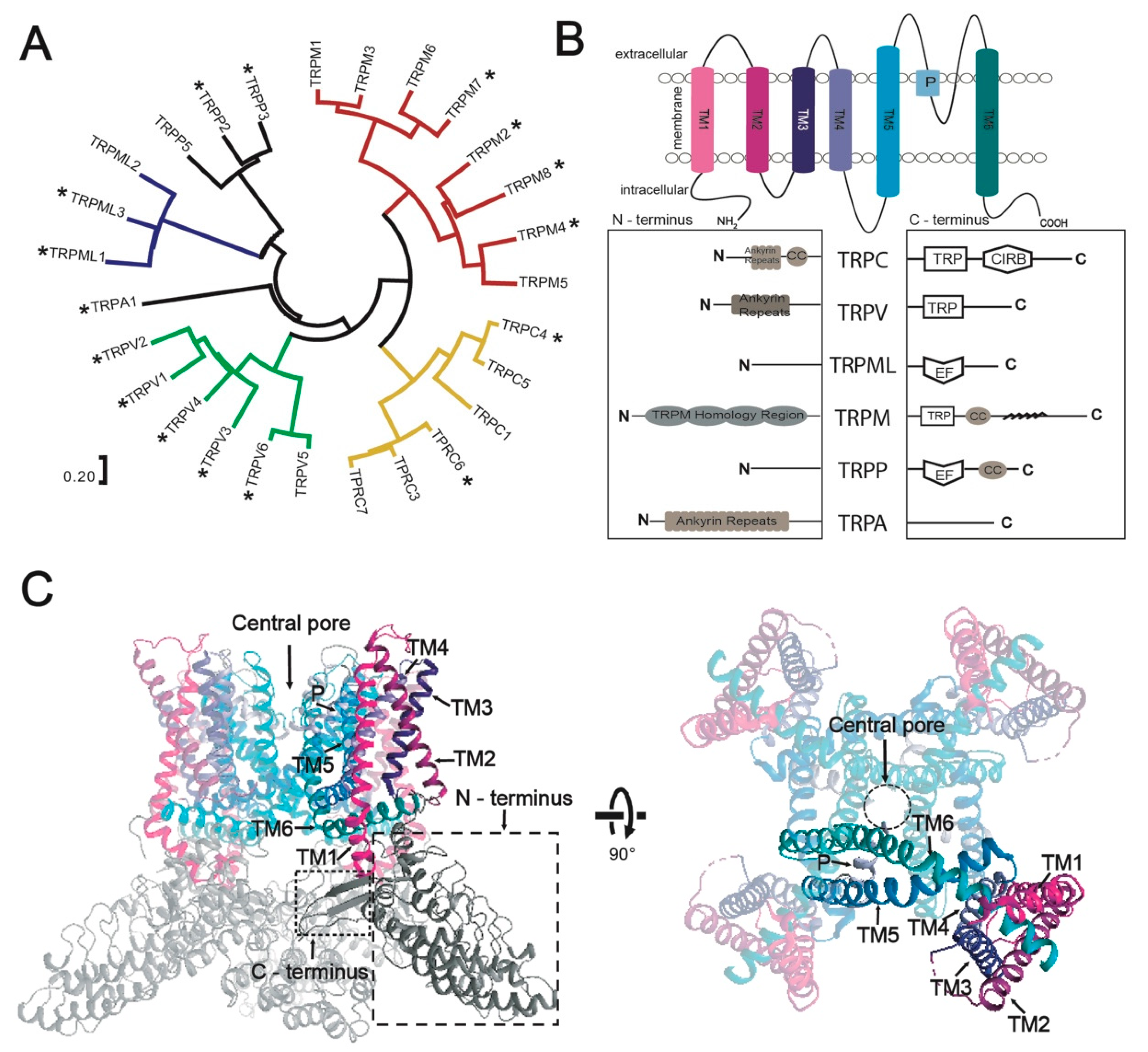 Cells 08 00148 g001