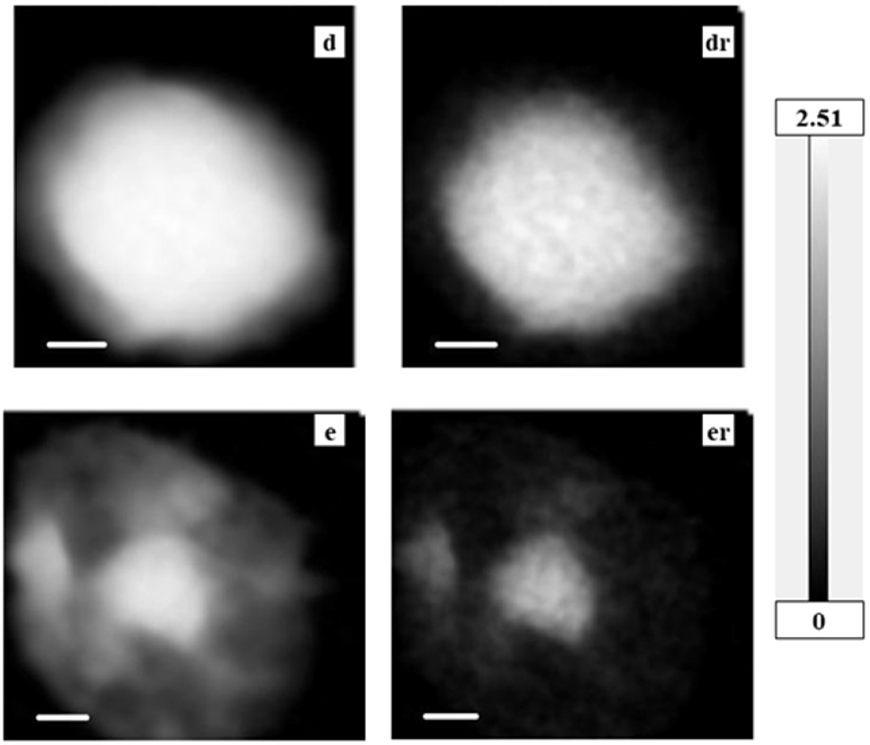 Cells 08 00164 g003 Cells 08 00164 g003