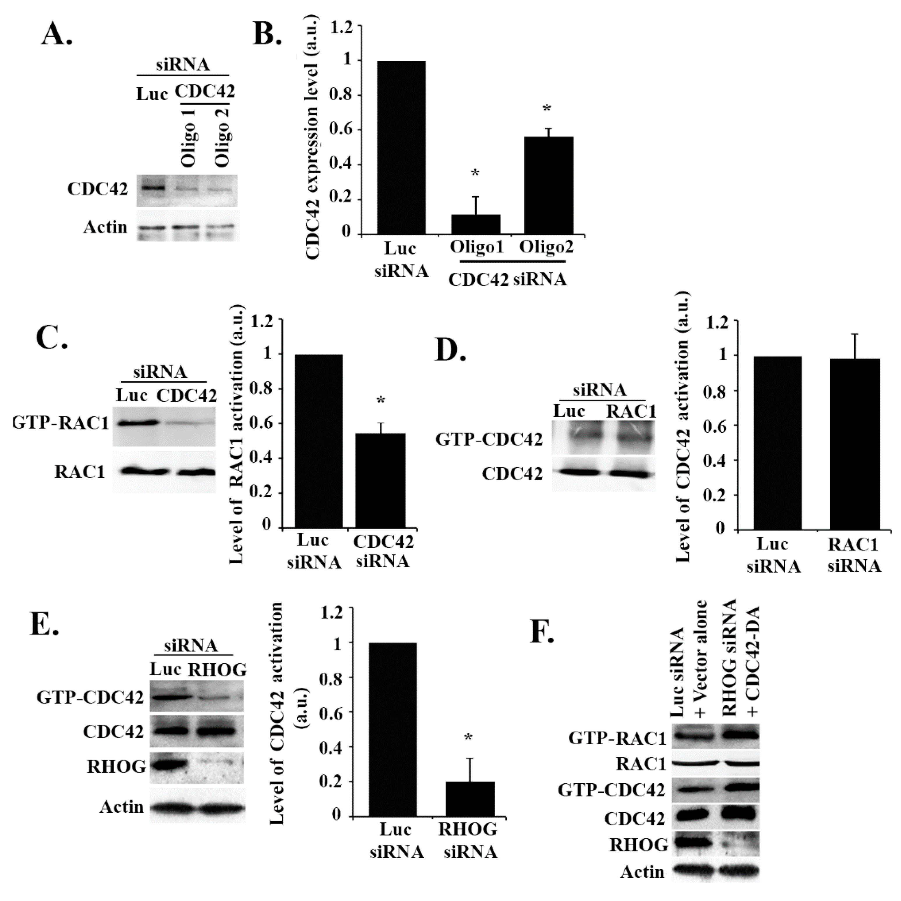 Cells 08 00171 g004