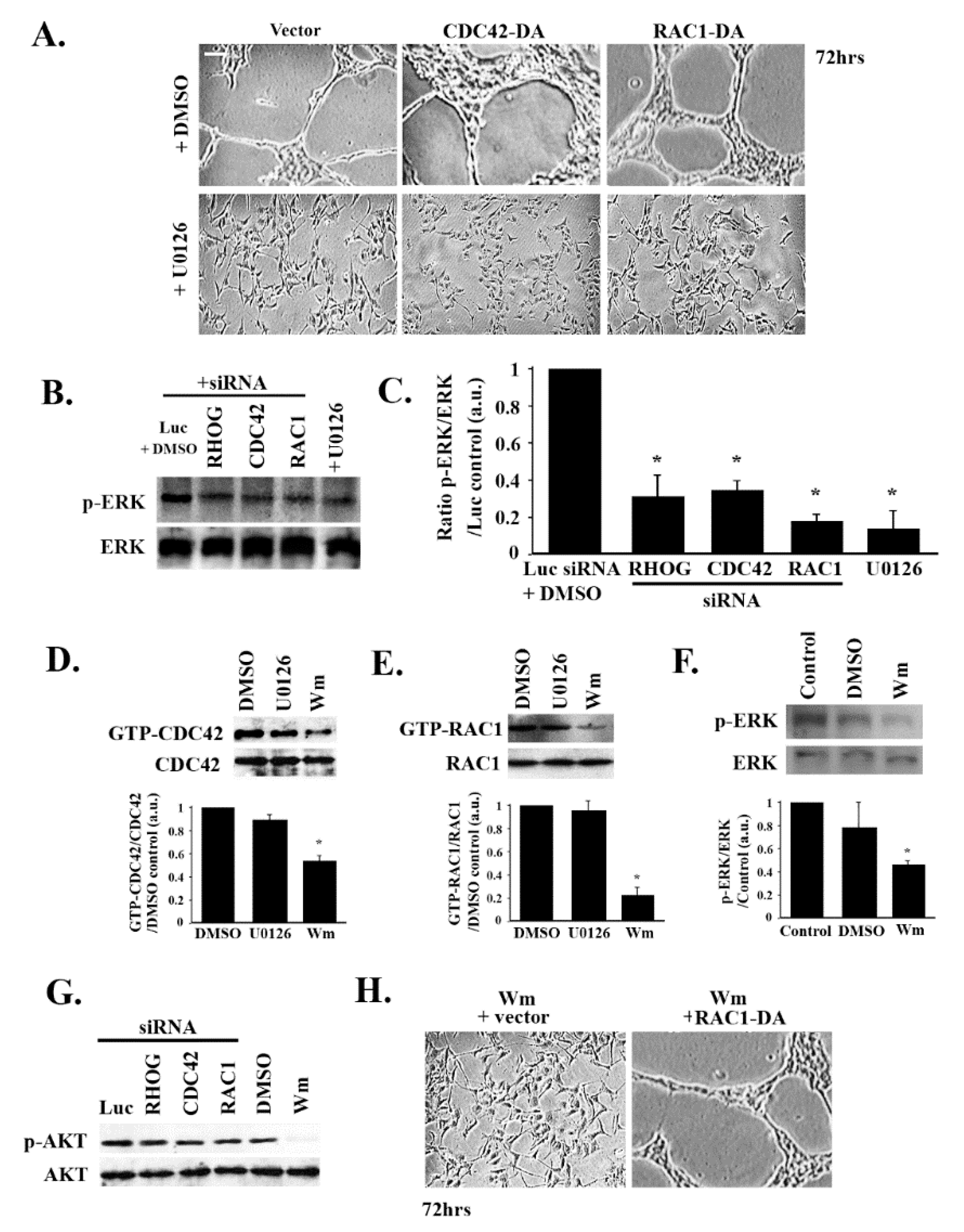 Cells 08 00171 g006