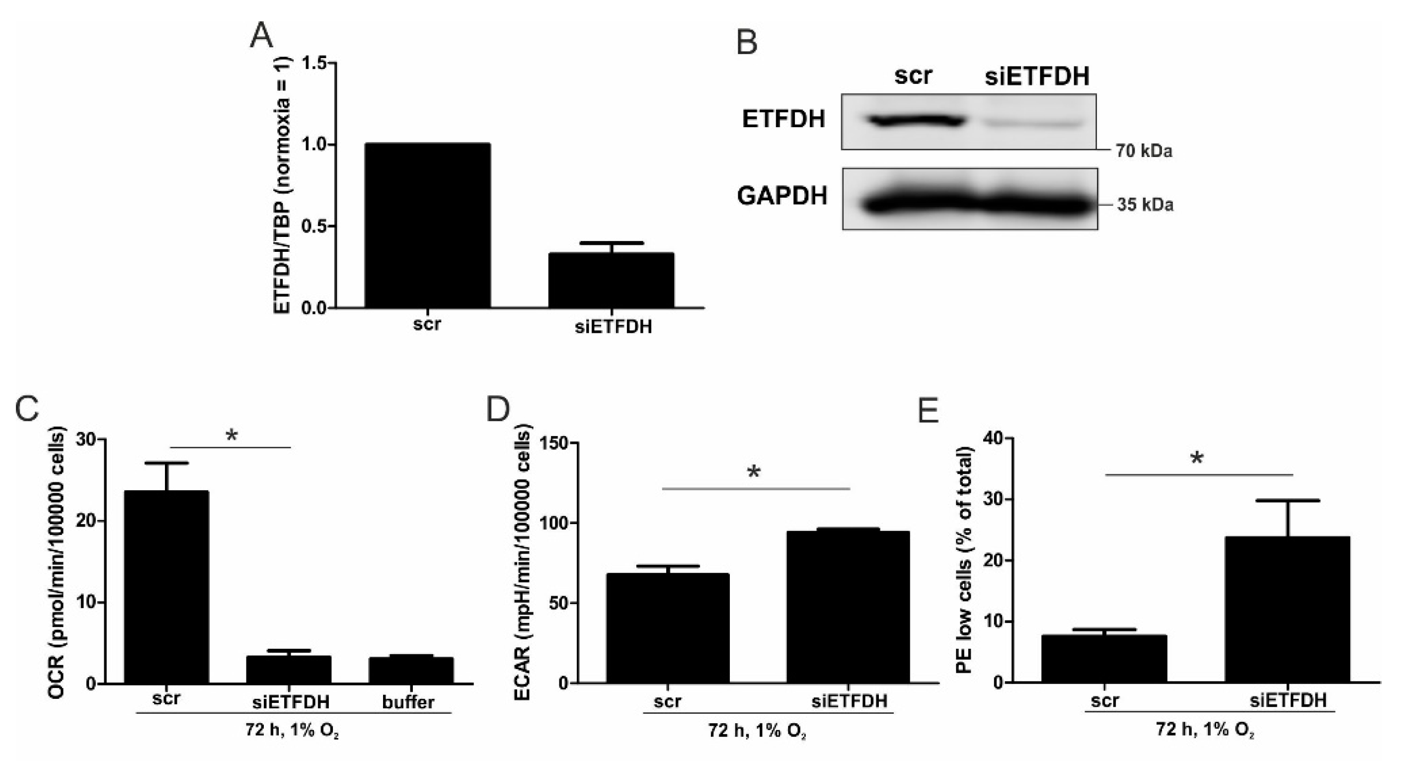Cells 08 00172 g003 550
