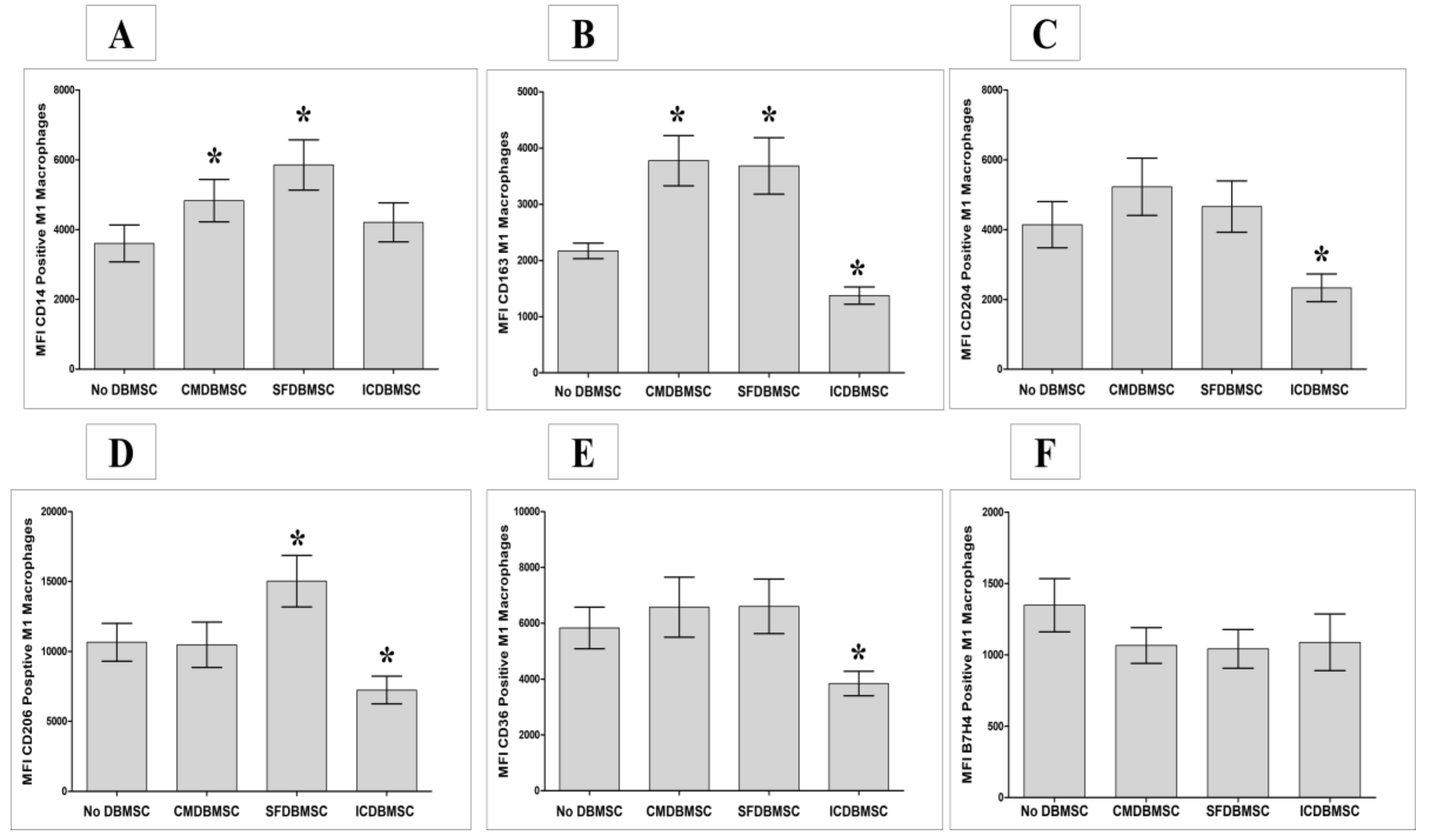 Cells 08 00173 g002 Cells 08 00173 g002