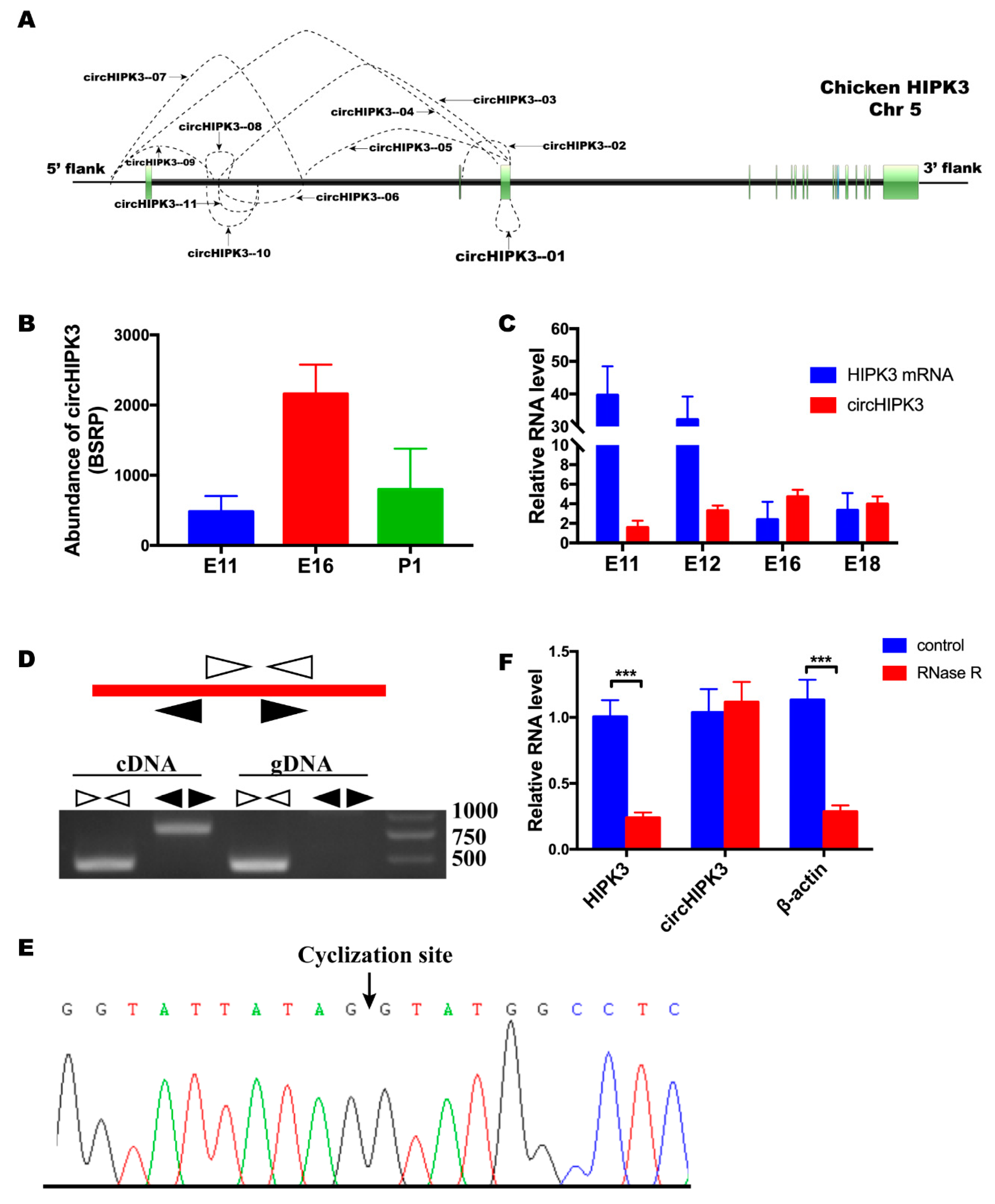 Cells 08 00177 g001 Cells 08 00177 g001