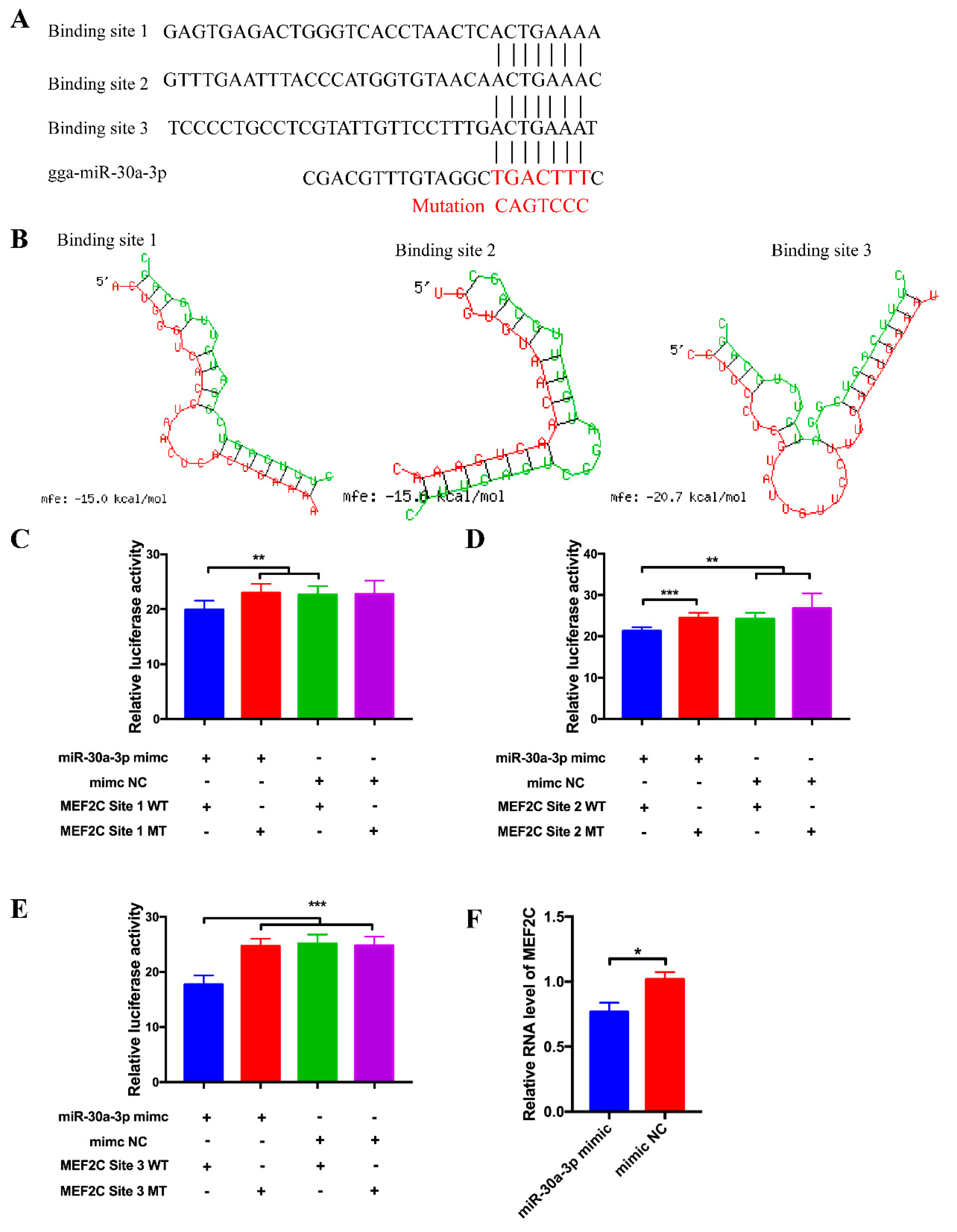 Cells 08 00177 g004 Cells 08 00177 g004