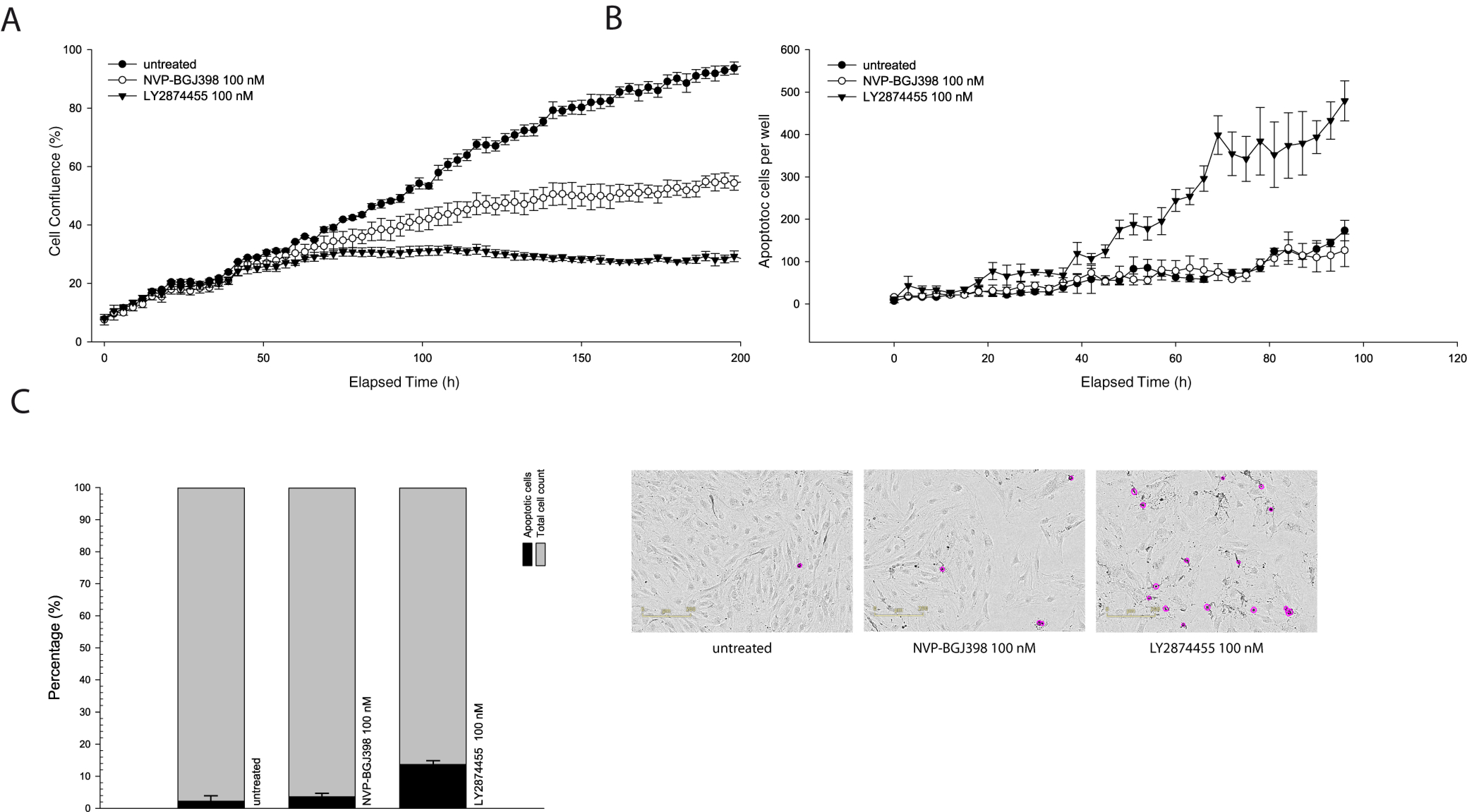 Cells 08 00189 g001 Cells 08 00189 g001
