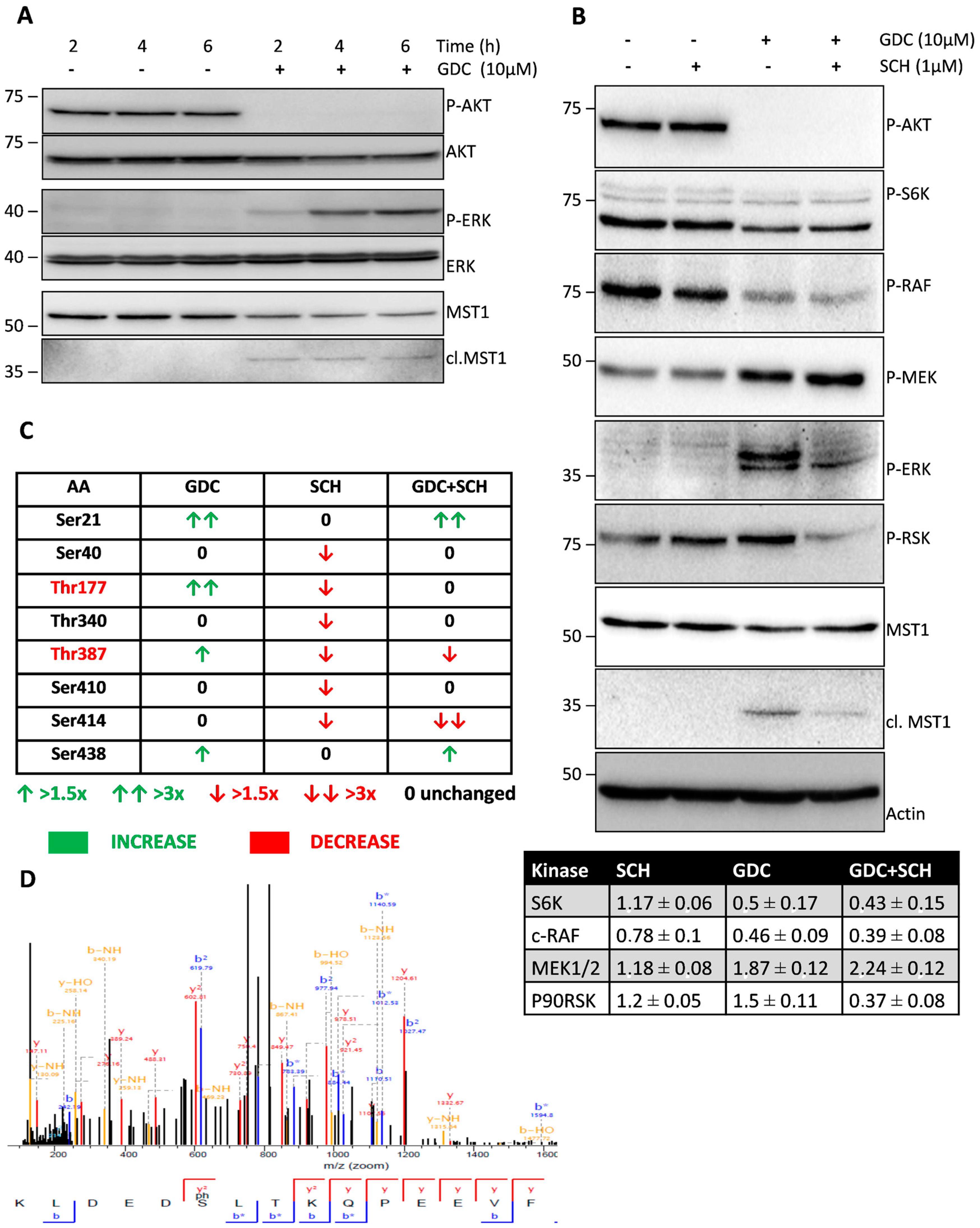 Cells 08 00191 g001 550