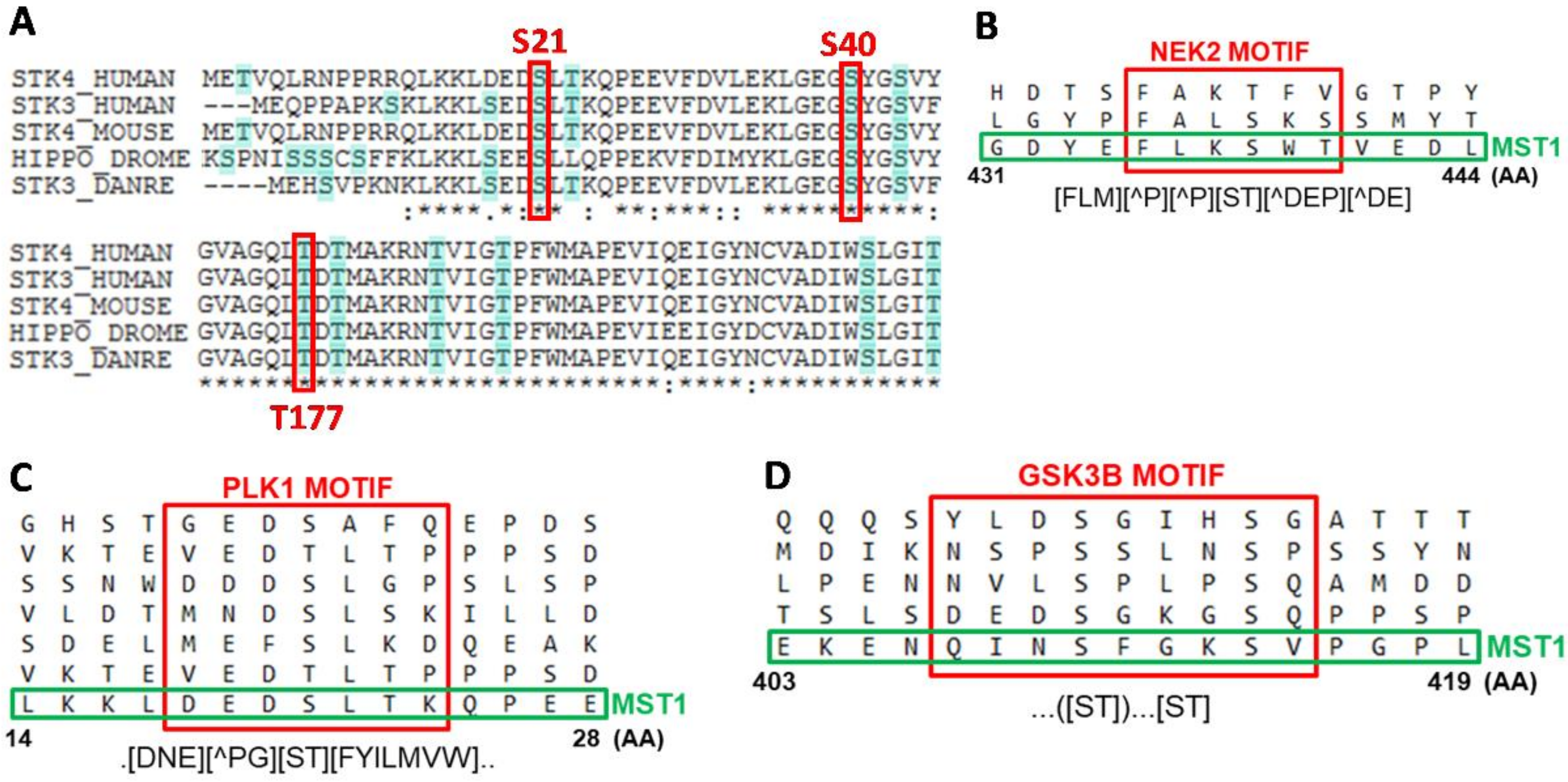 Cells 08 00191 g002 550