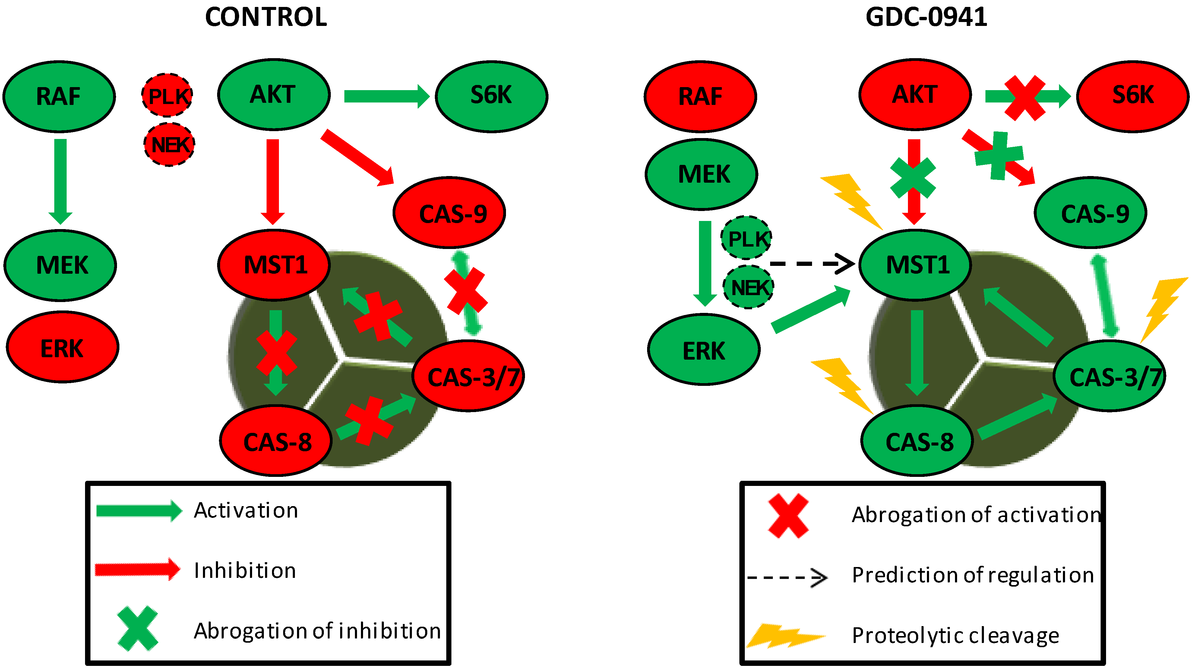 Cells 08 00191 g006 550