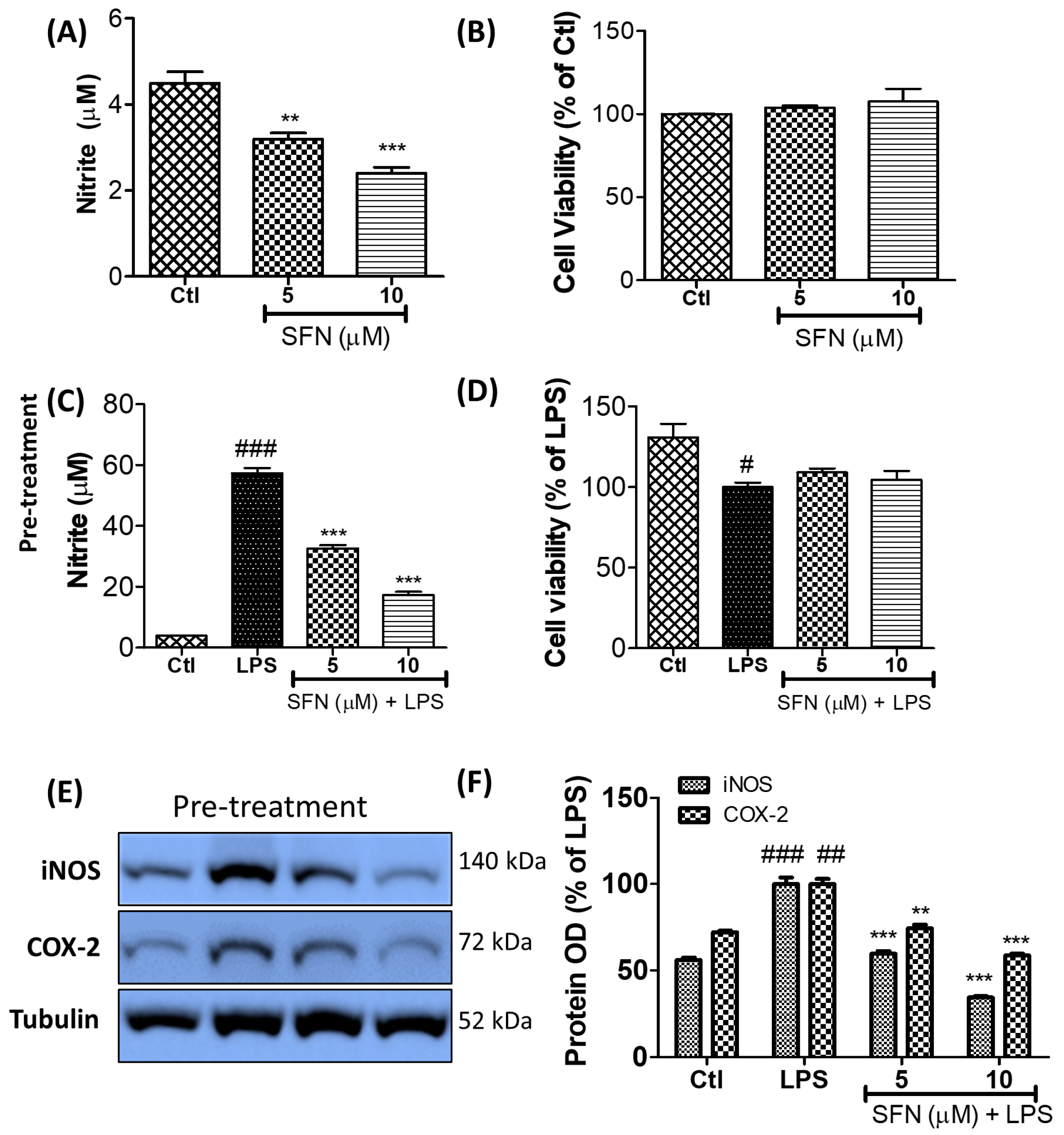 Cells 08 00194 g001