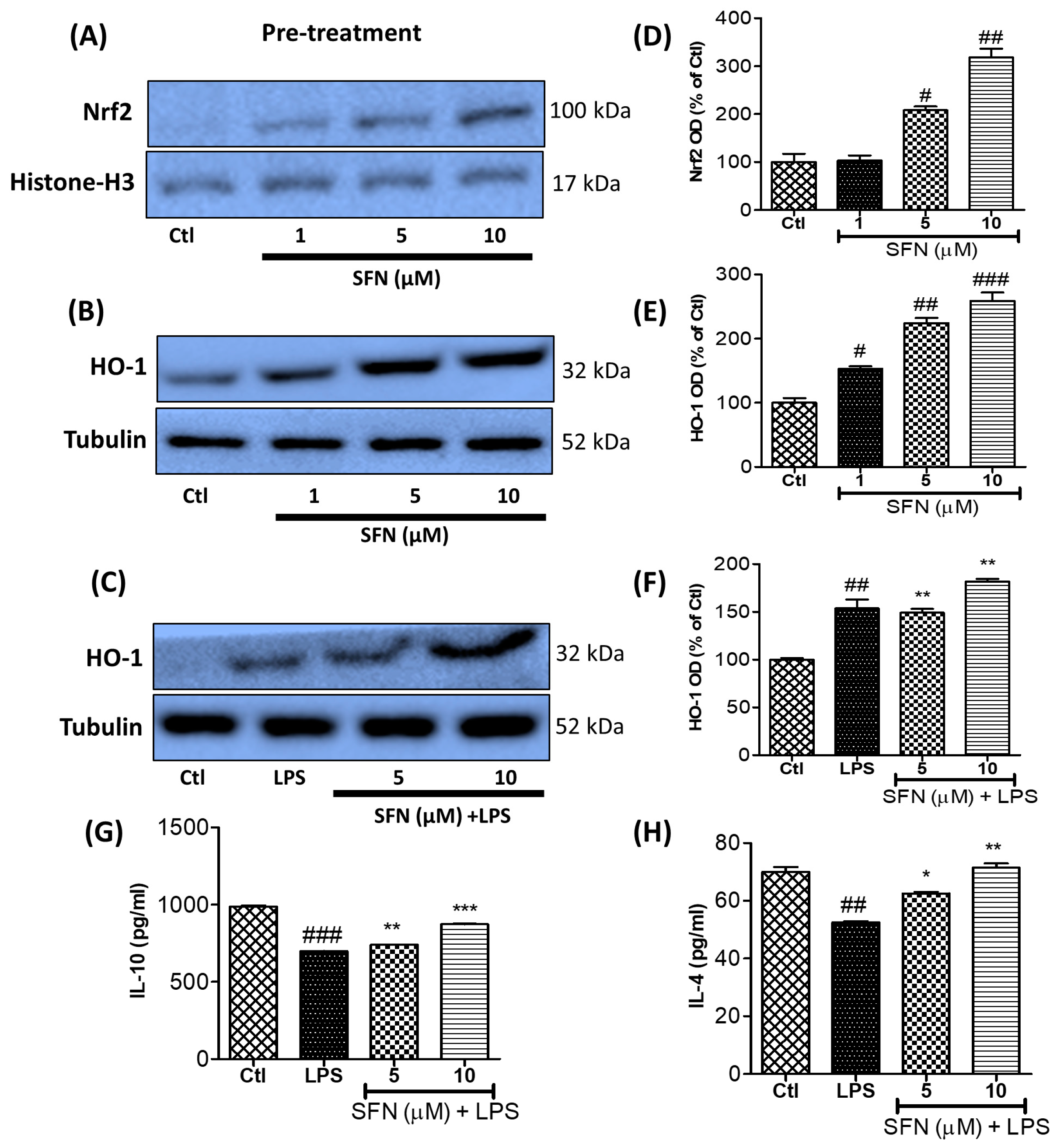 Cells 08 00194 g008