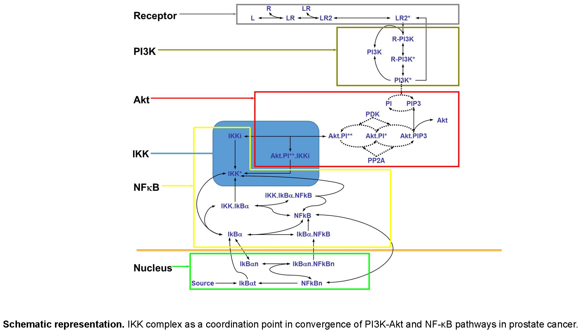 Cells | Free Full-Text | Complex Systems Biology Approach in Connecting ...