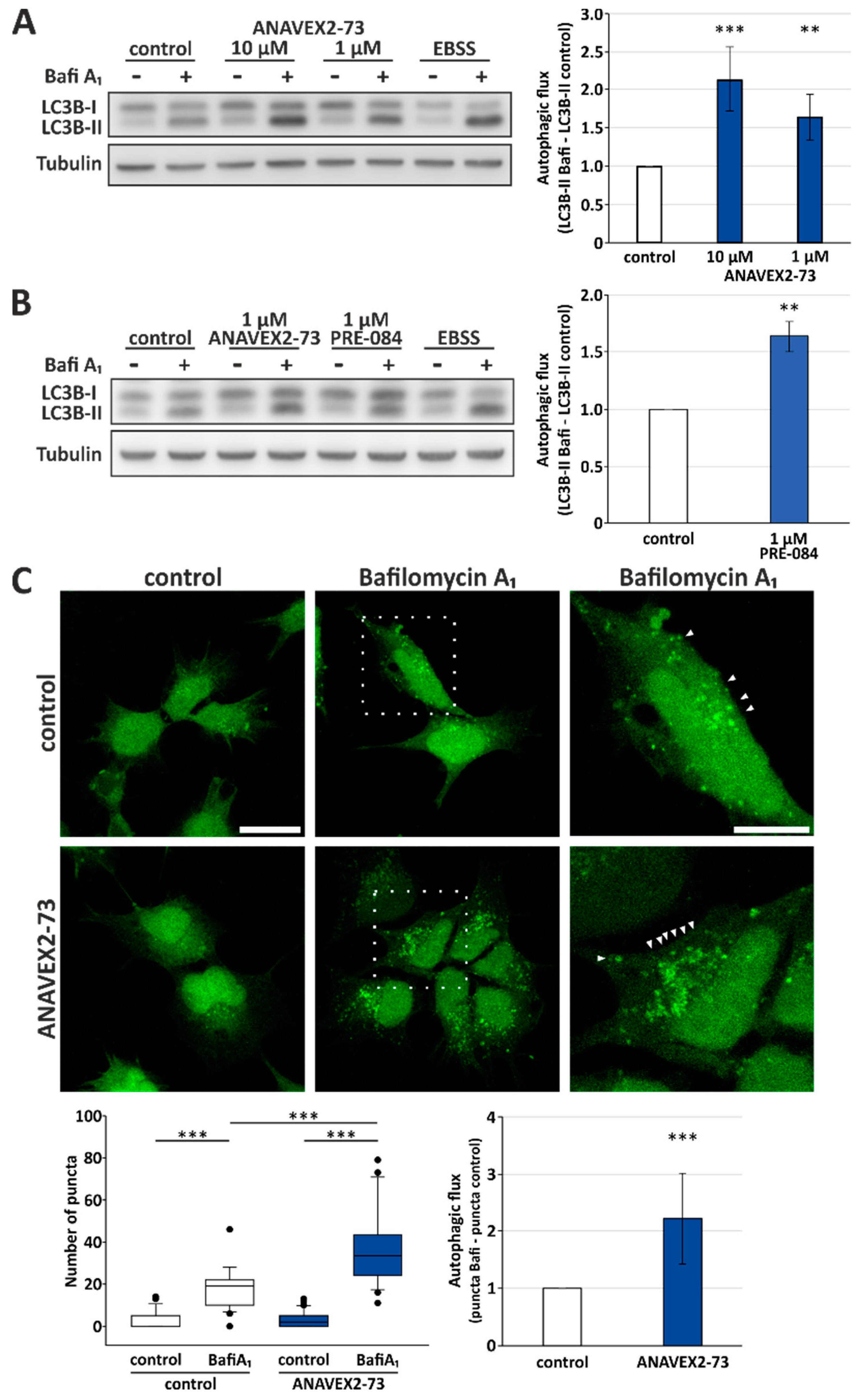 Cells 08 00211 g001
