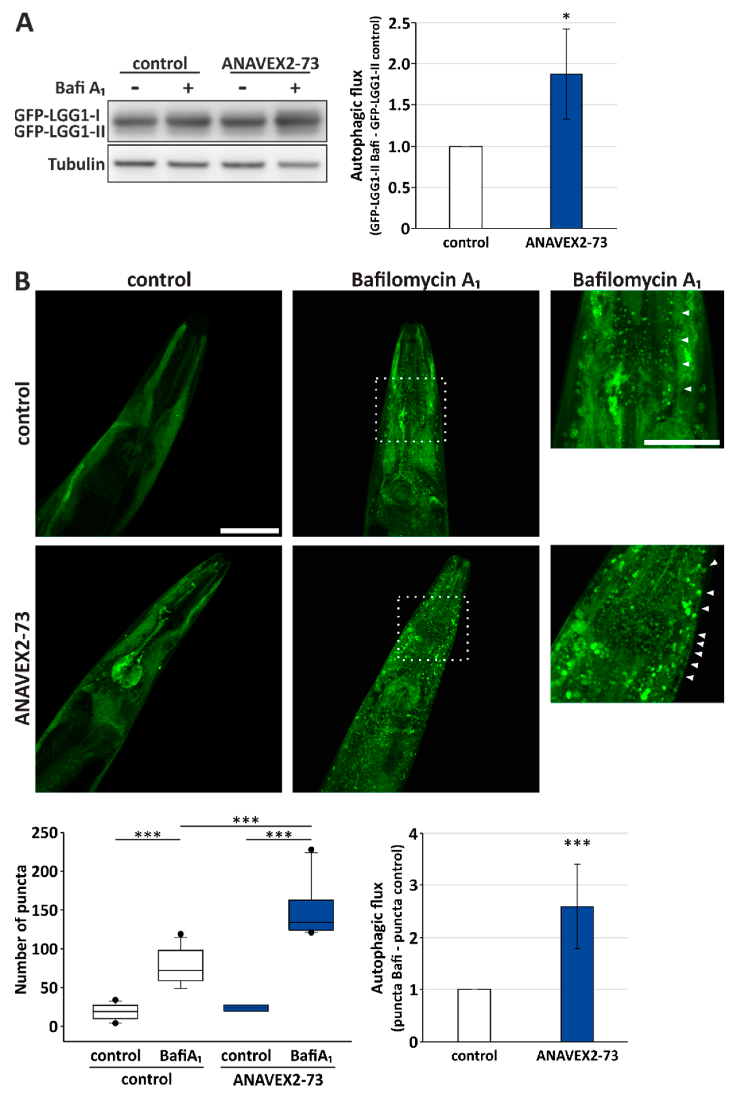 Cells 08 00211 g003