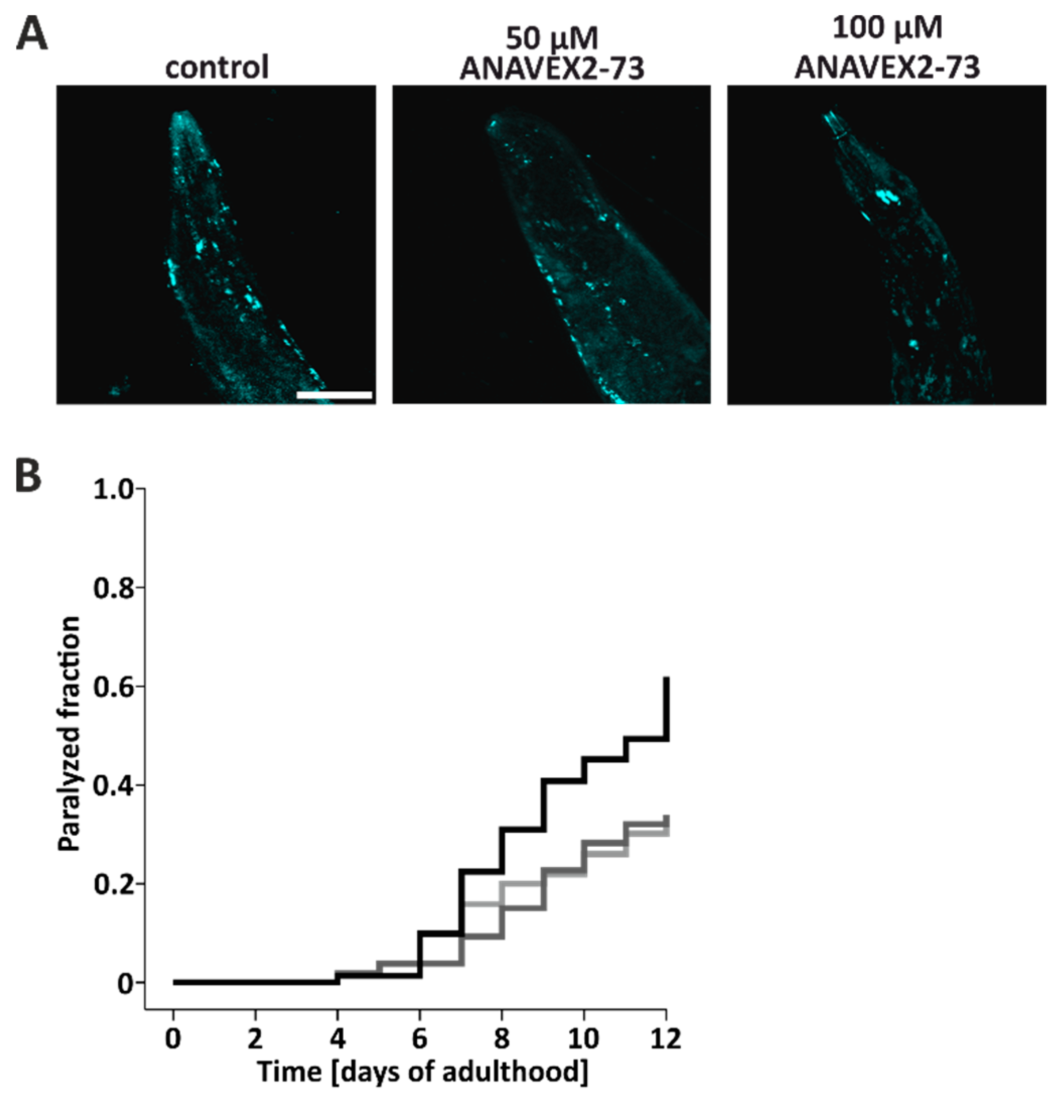 Cells 08 00211 g004