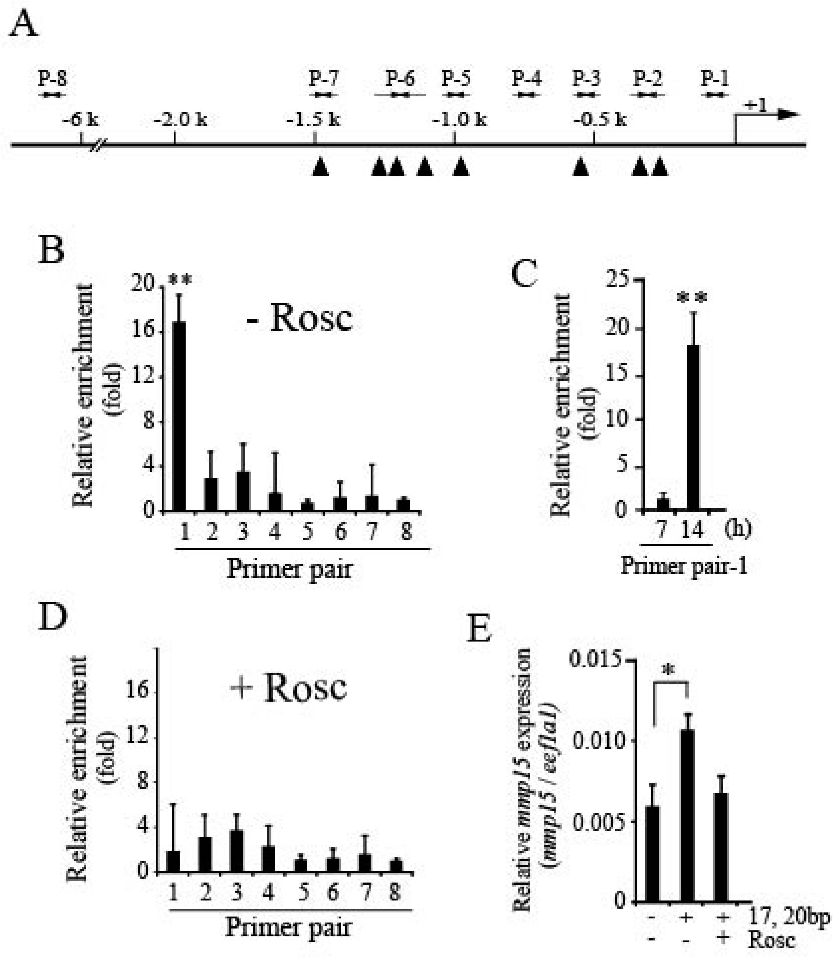 Cells 08 00215 g004