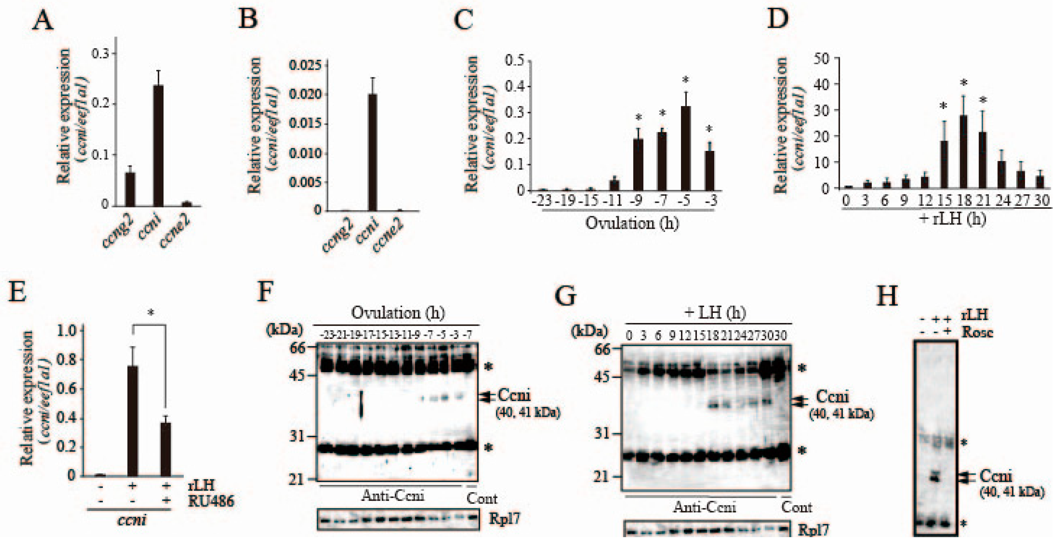 Cells 08 00215 g006