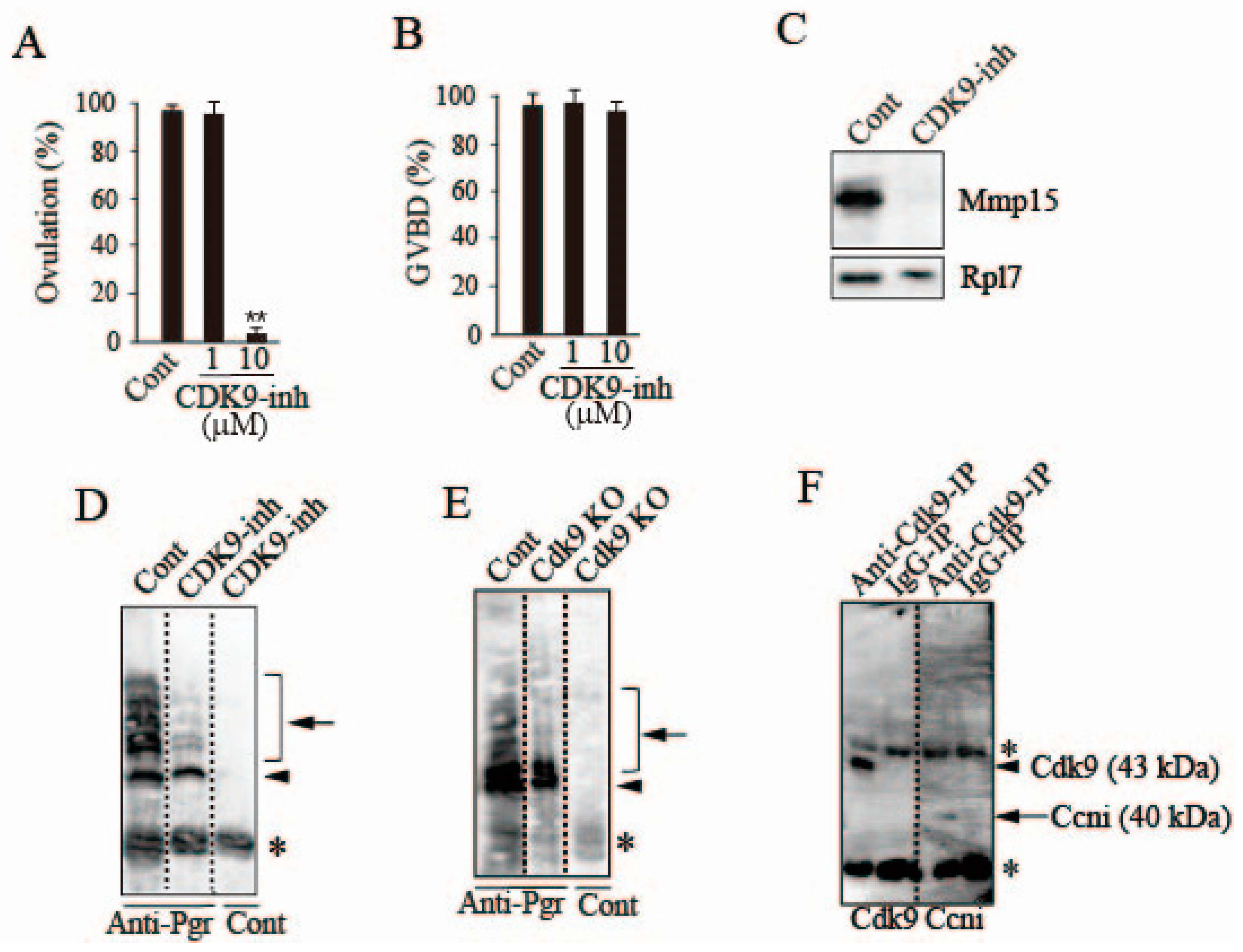 Cells 08 00215 g007