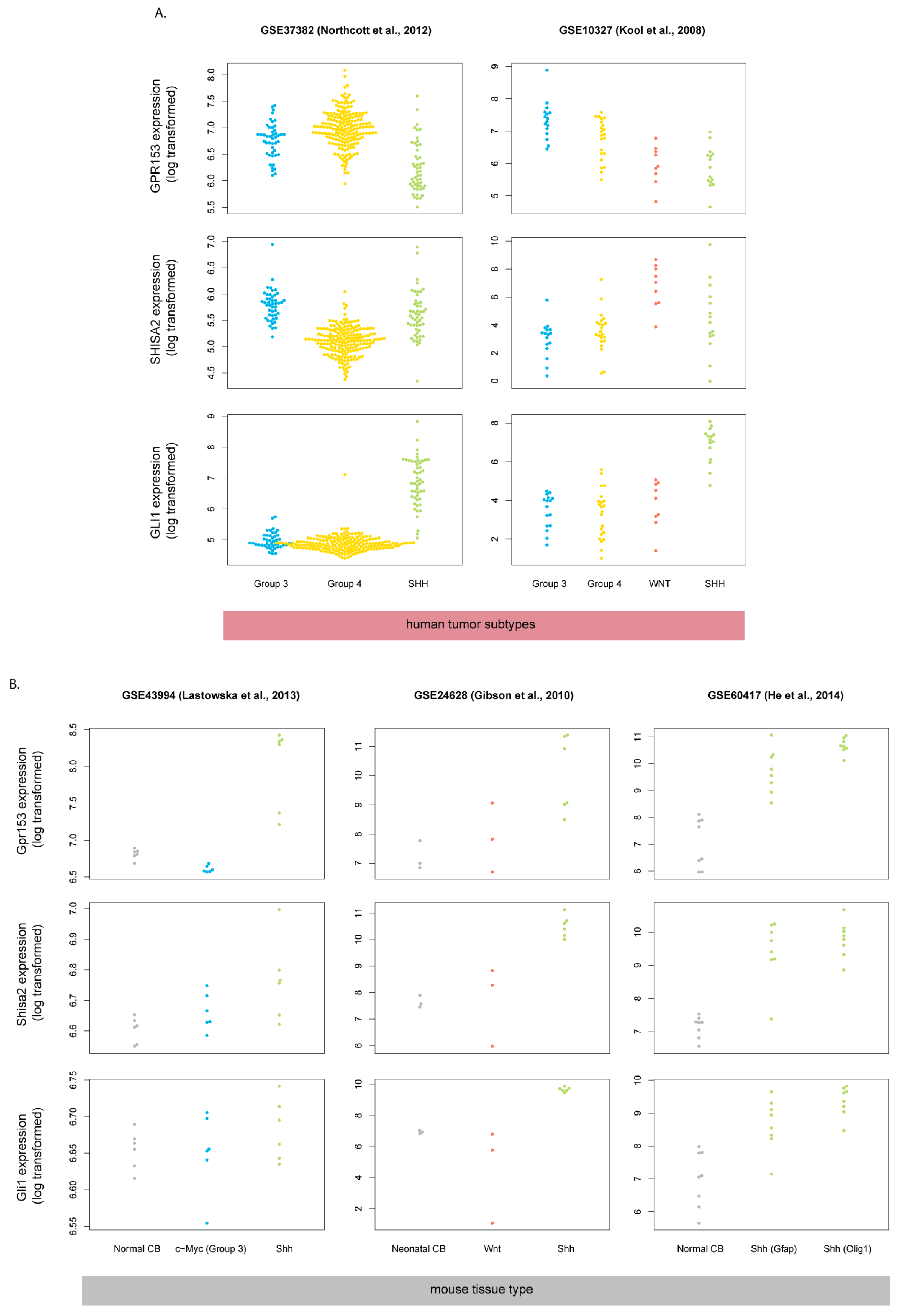 Cells 08 00216 g002 Cells 08 00216 g002