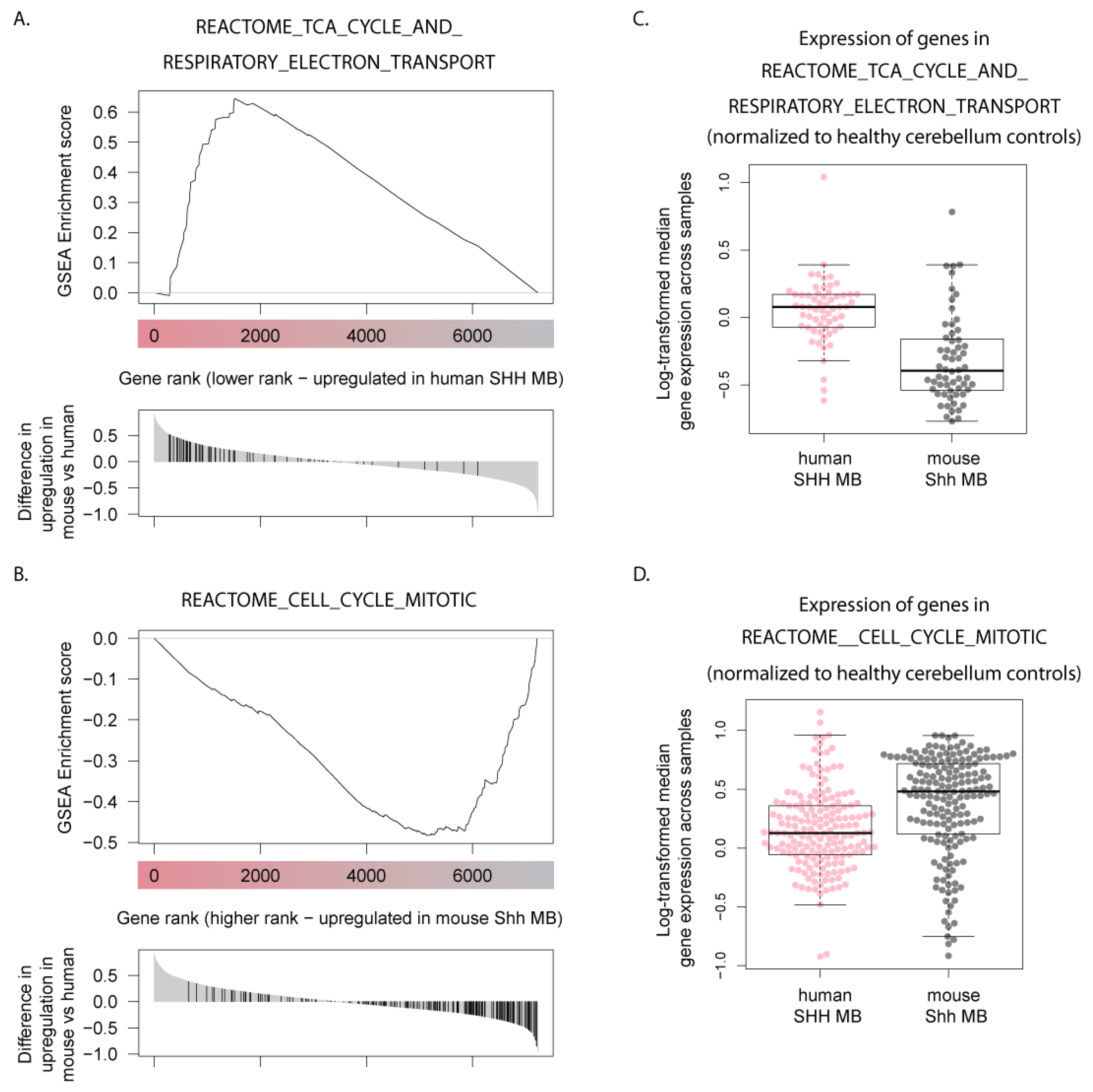 Cells 08 00216 g005 Cells 08 00216 g005