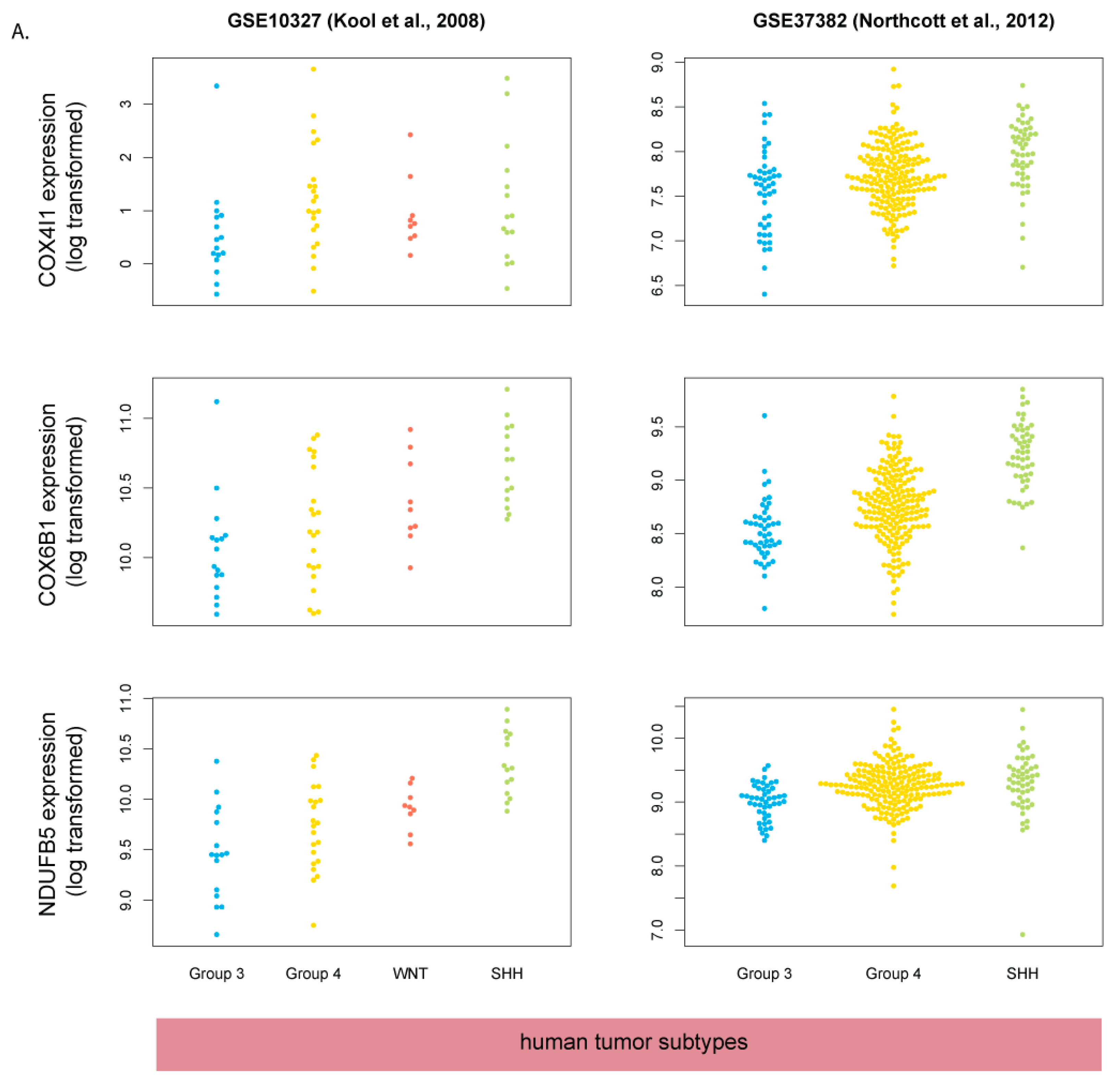 Cells 08 00216 g006a Cells 08 00216 g006a