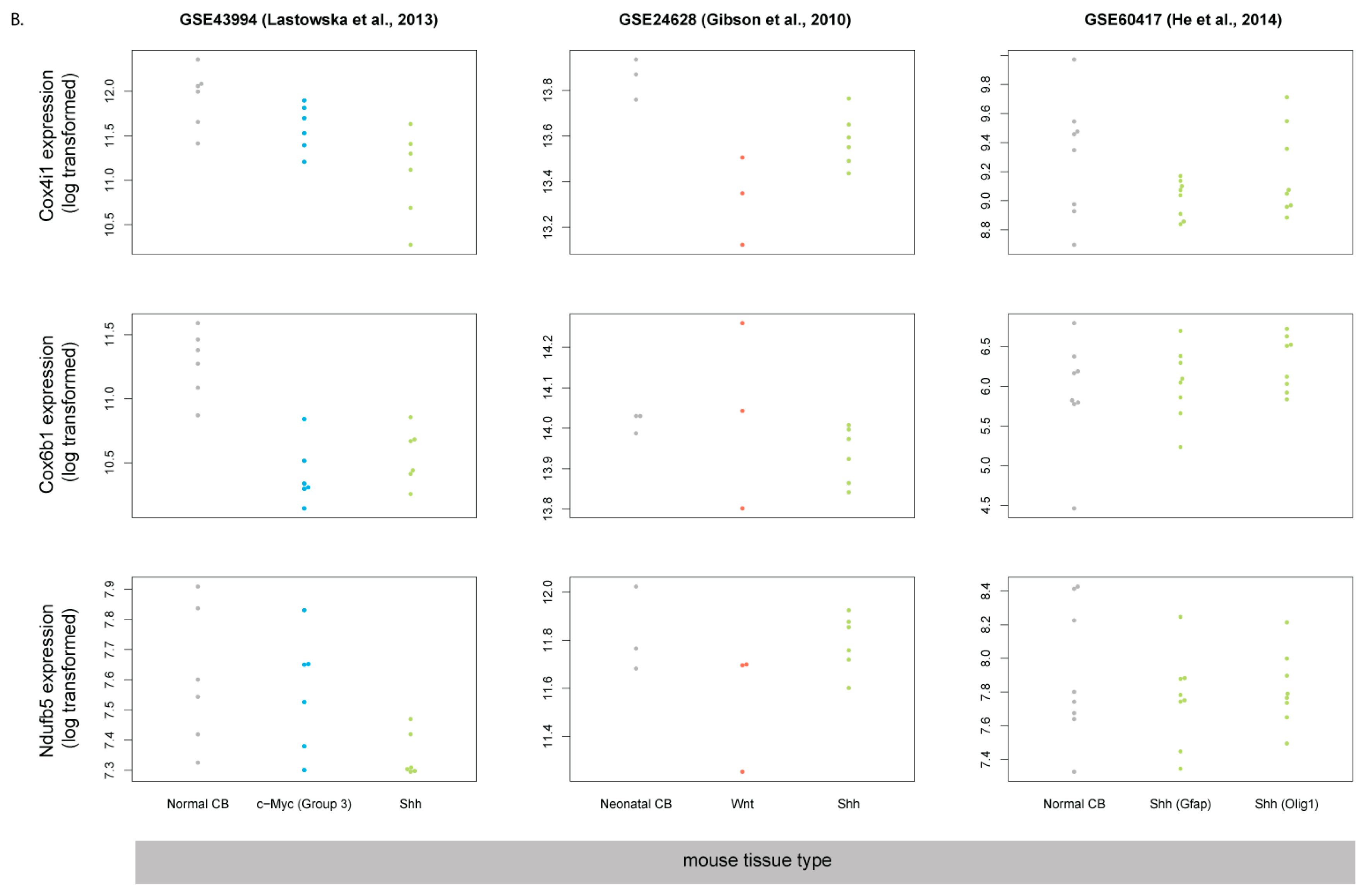 Cells 08 00216 g006b Cells 08 00216 g006b