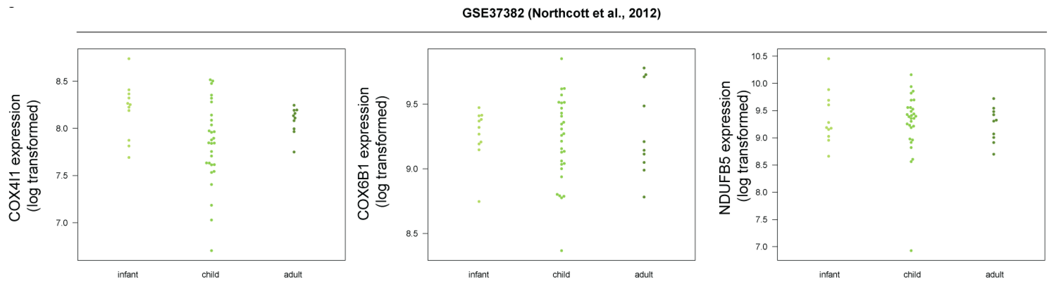 Cells 08 00216 g007 Cells 08 00216 g007