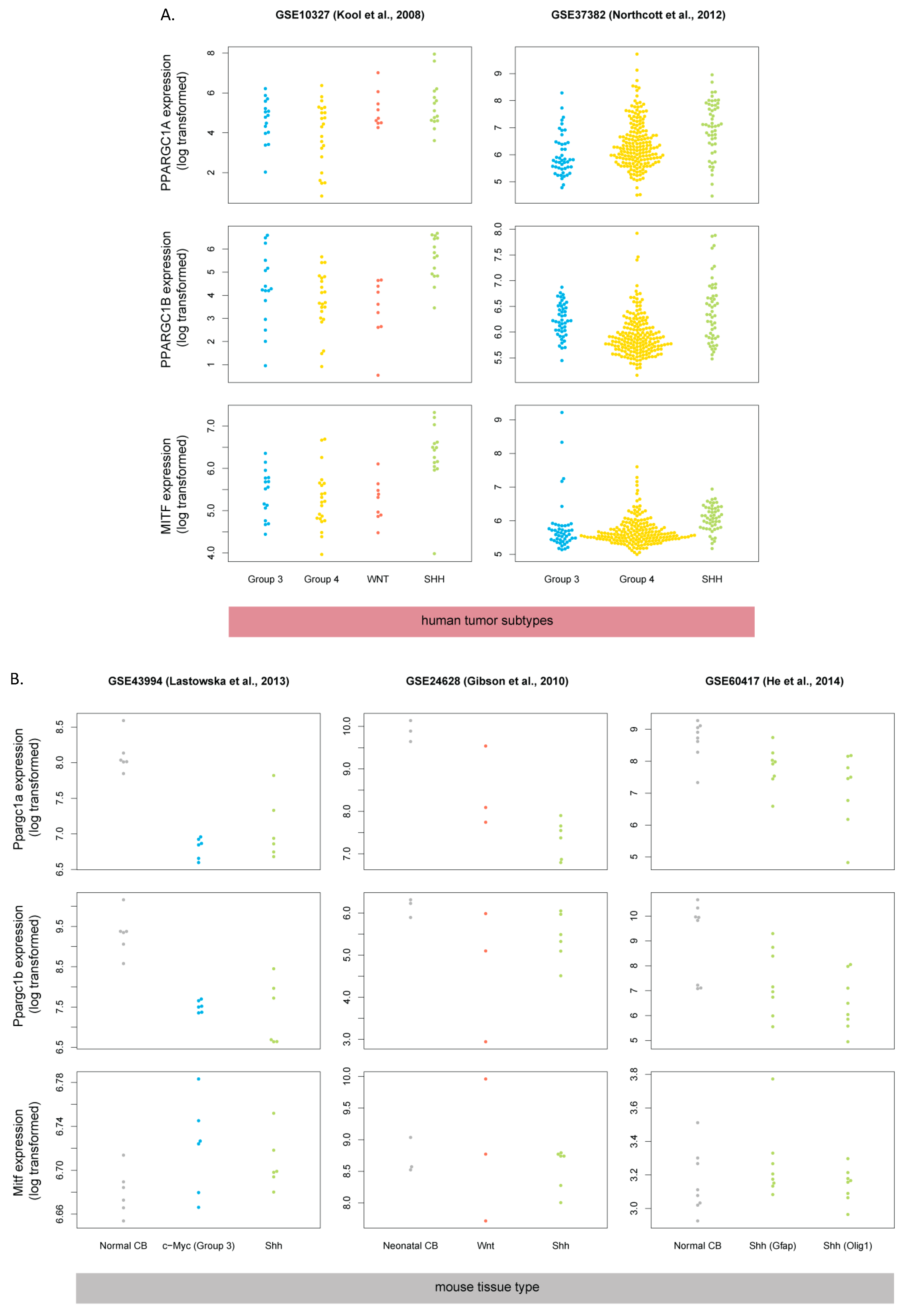 Cells 08 00216 g008 Cells 08 00216 g008