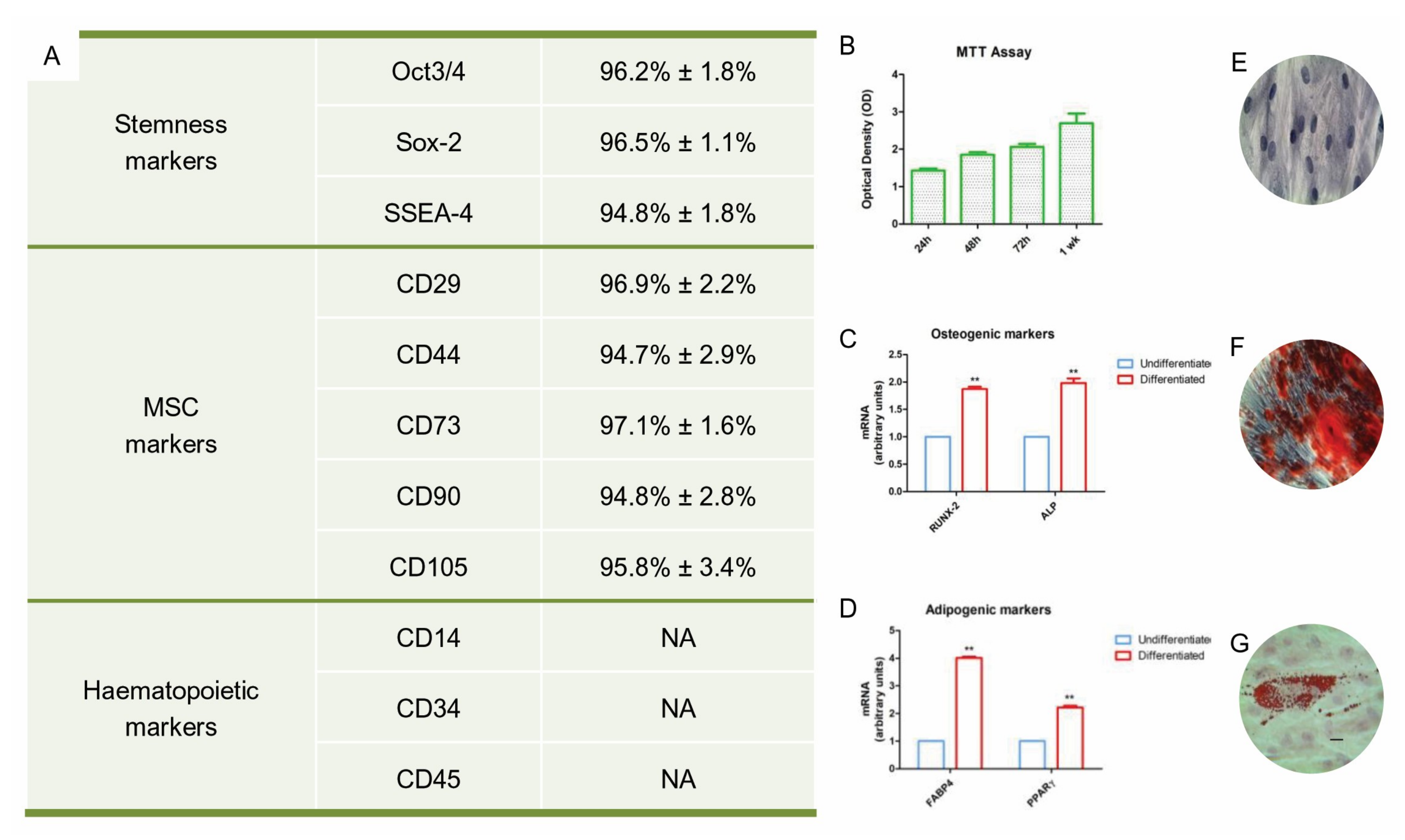 Cells 08 00219 g001 Cells 08 00219 g001