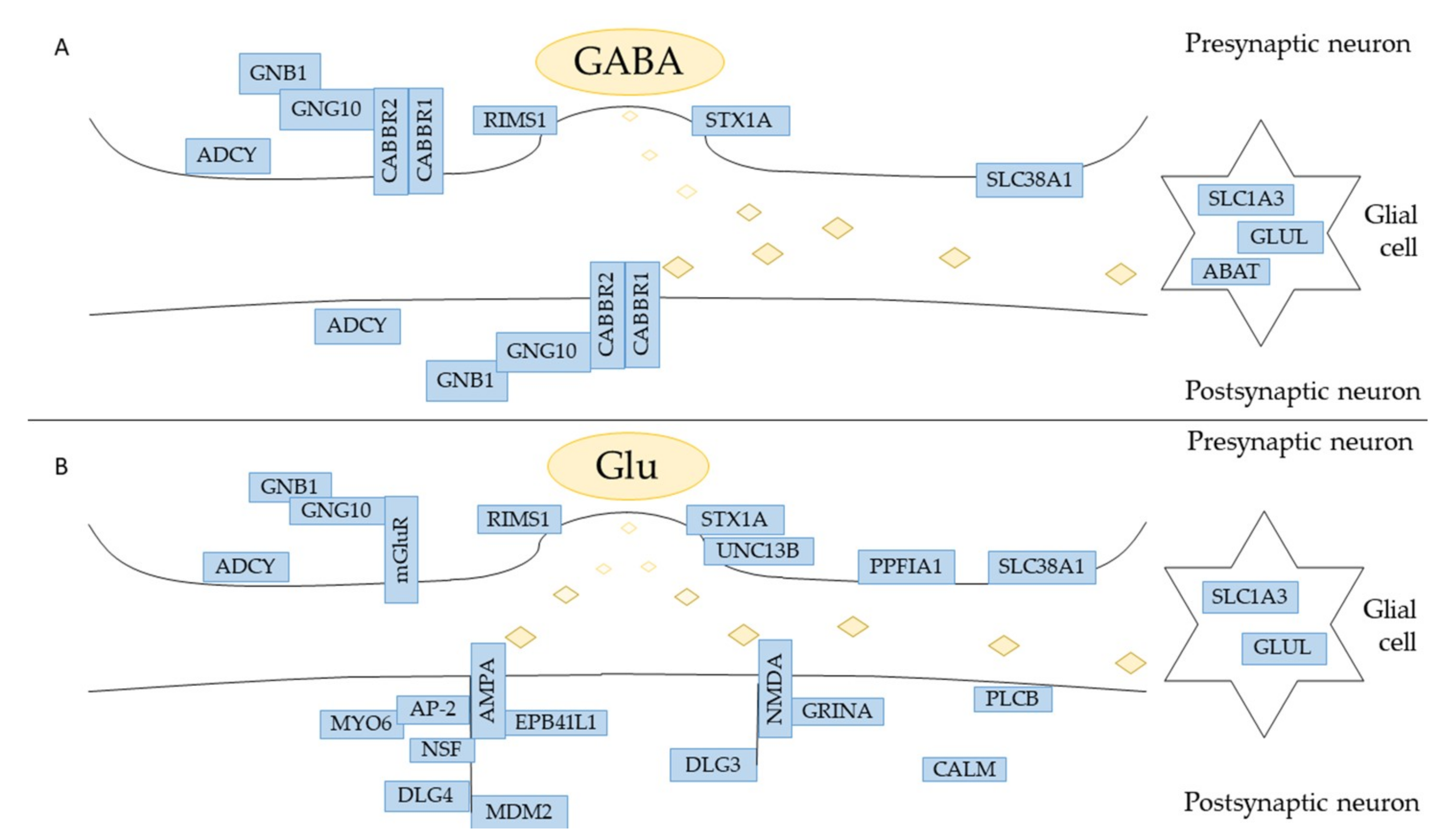 Cells 08 00219 g005 Cells 08 00219 g005