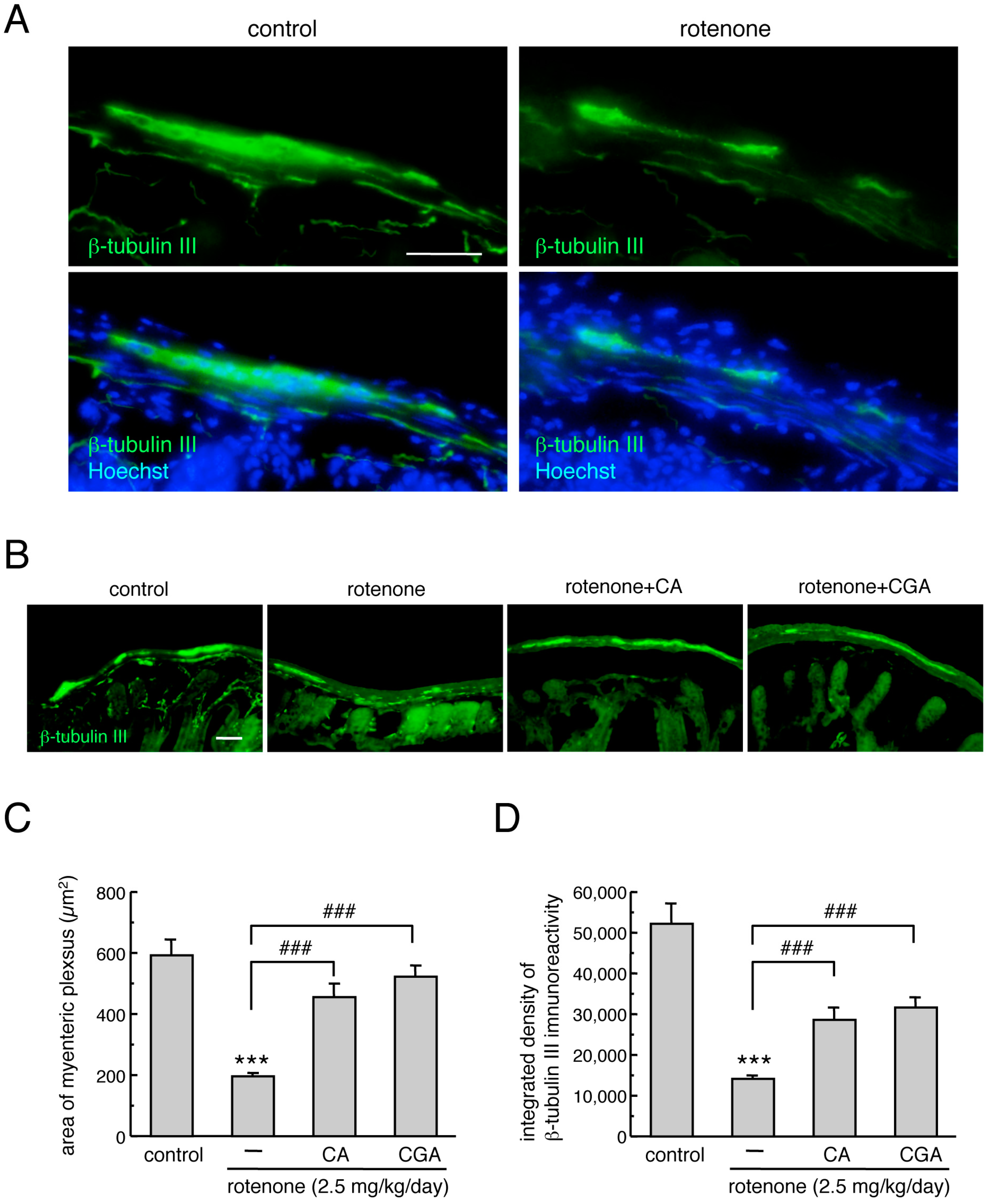 Cells 08 00221 g003