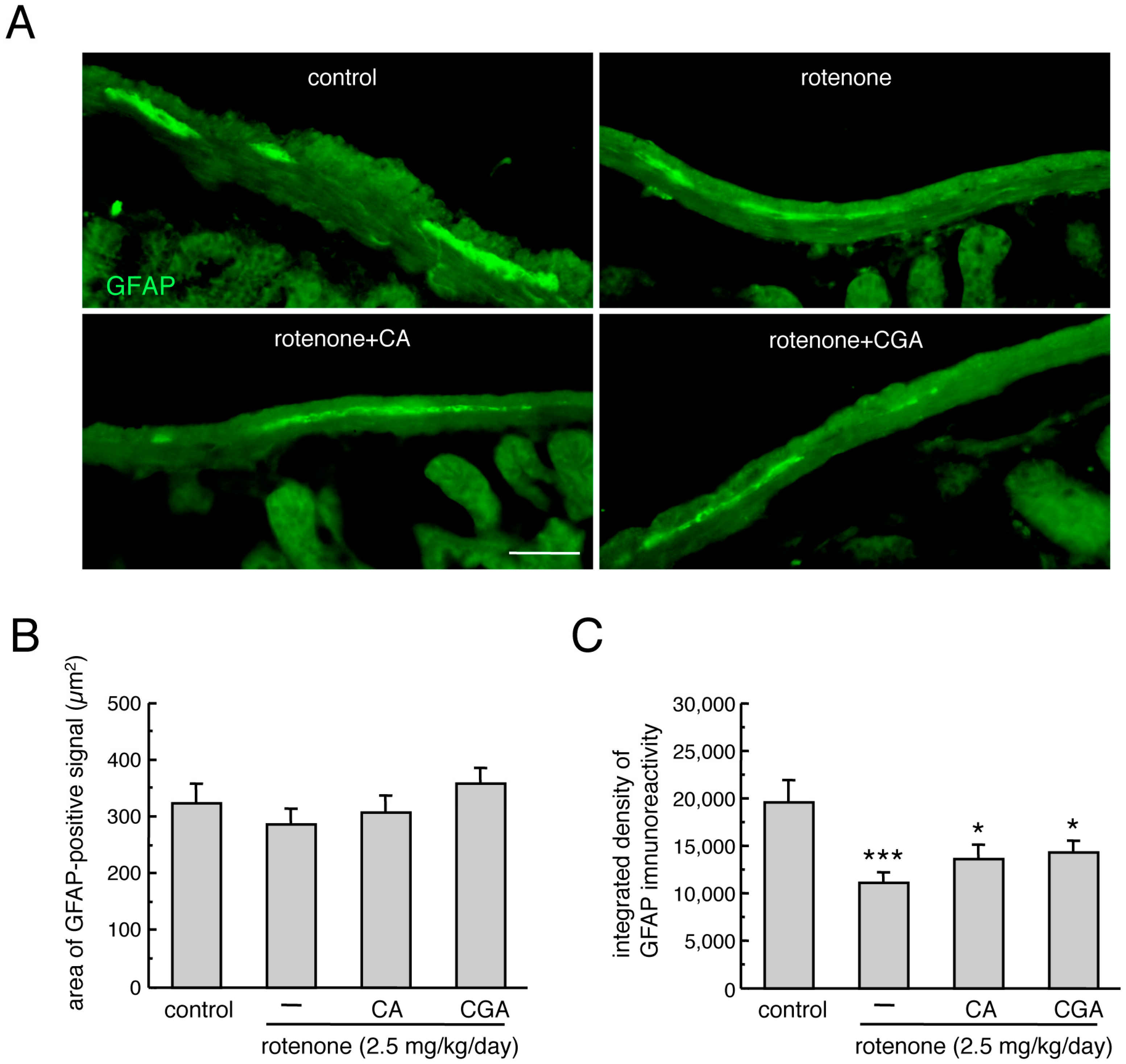 Cells 08 00221 g004