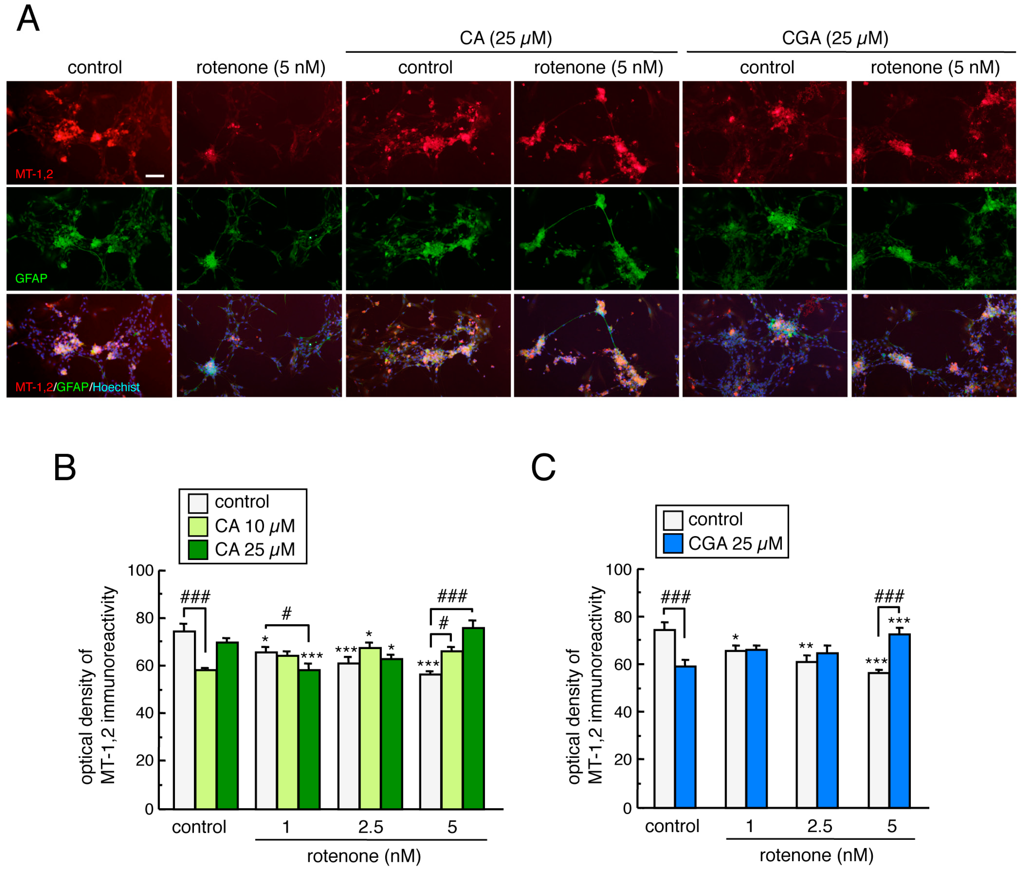 Cells 08 00221 g008