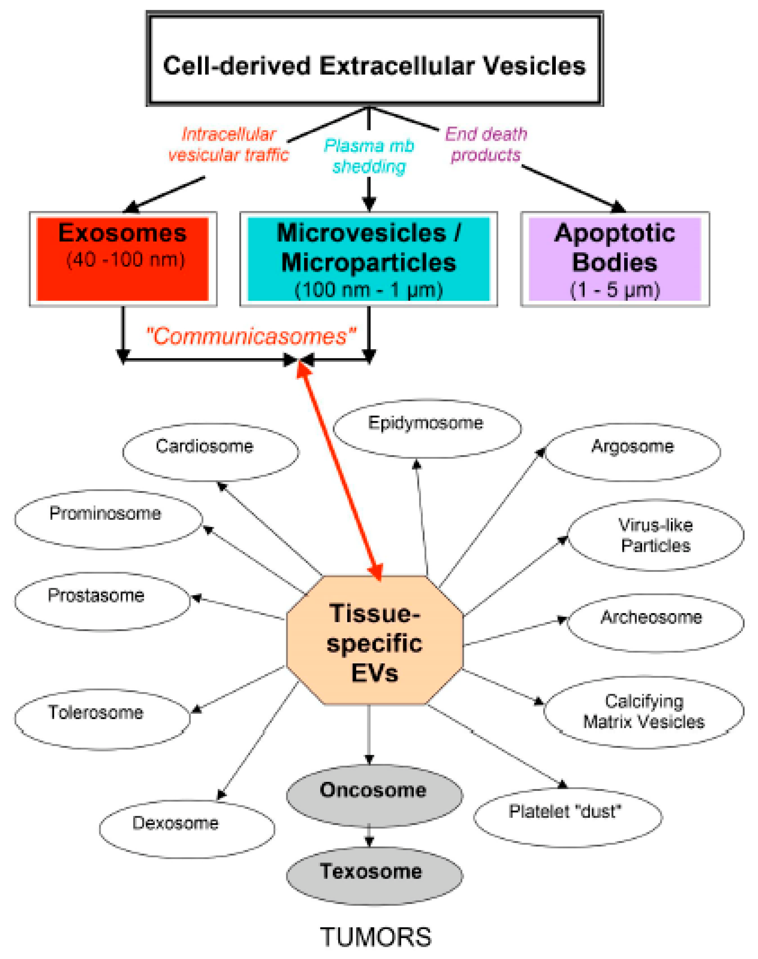 ISEV2018 abstract book - Théry - 2018 - Journal of Extracellular