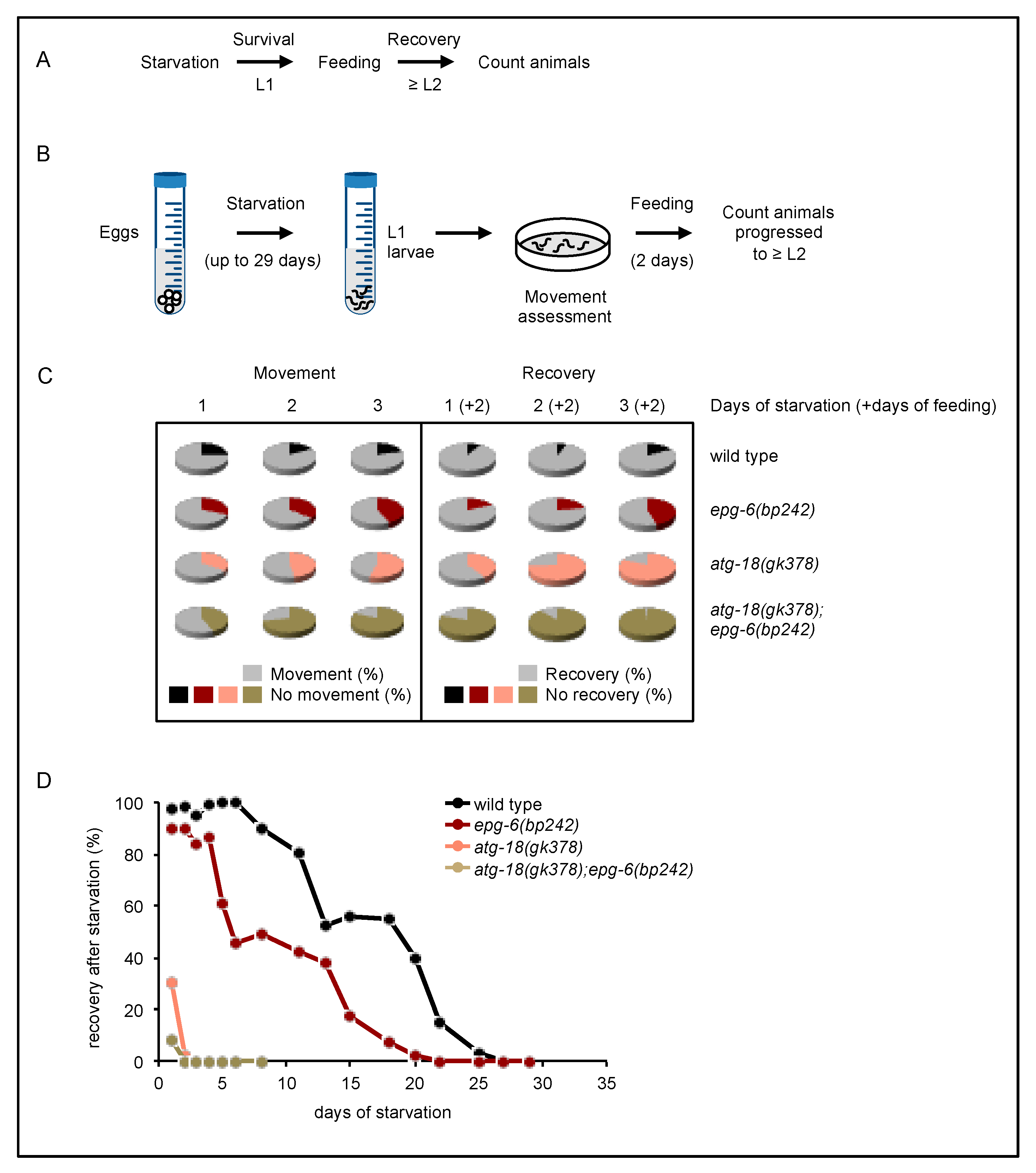 Cells 08 00236 g007