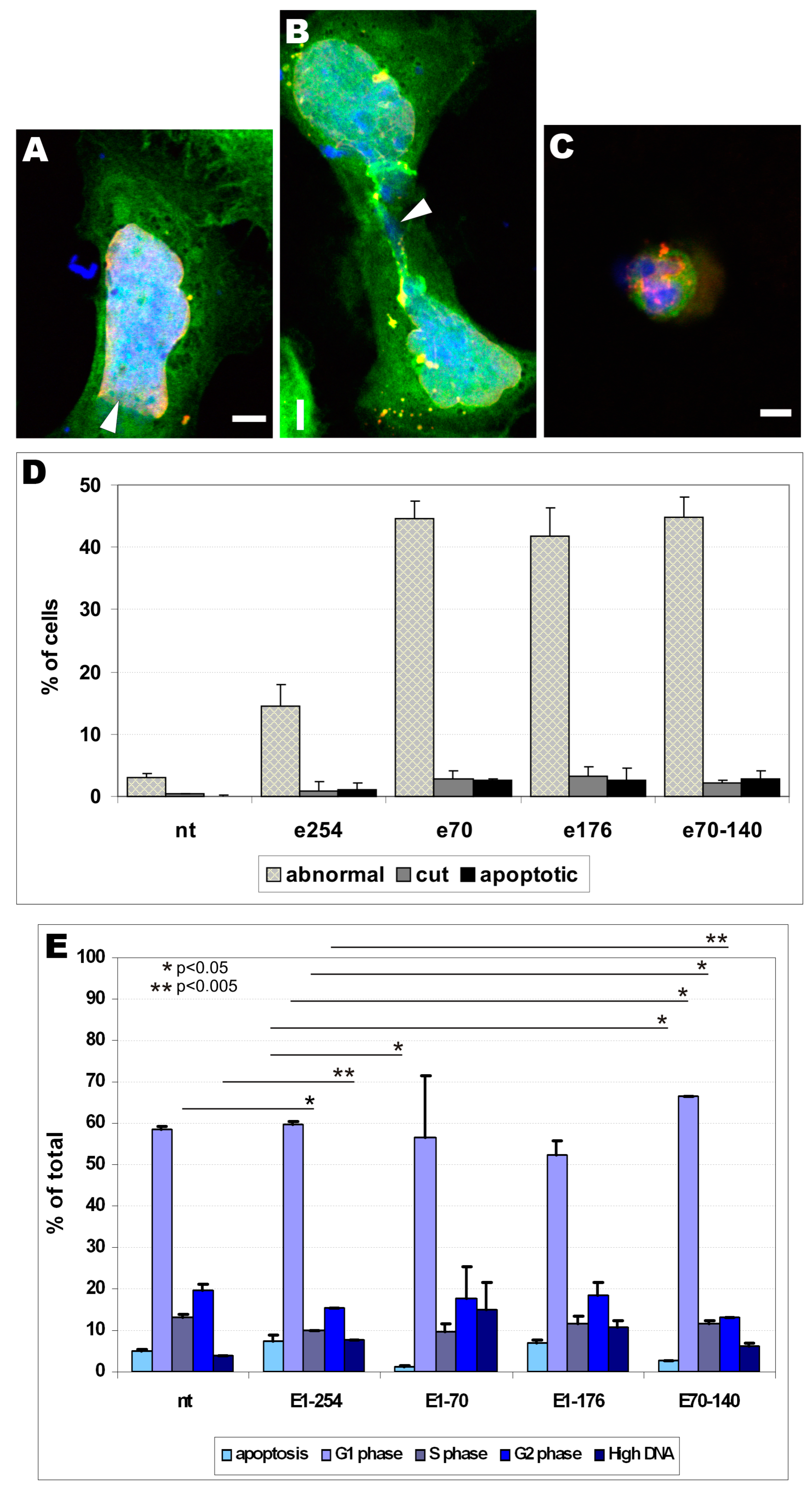 Cells 08 00240 g006