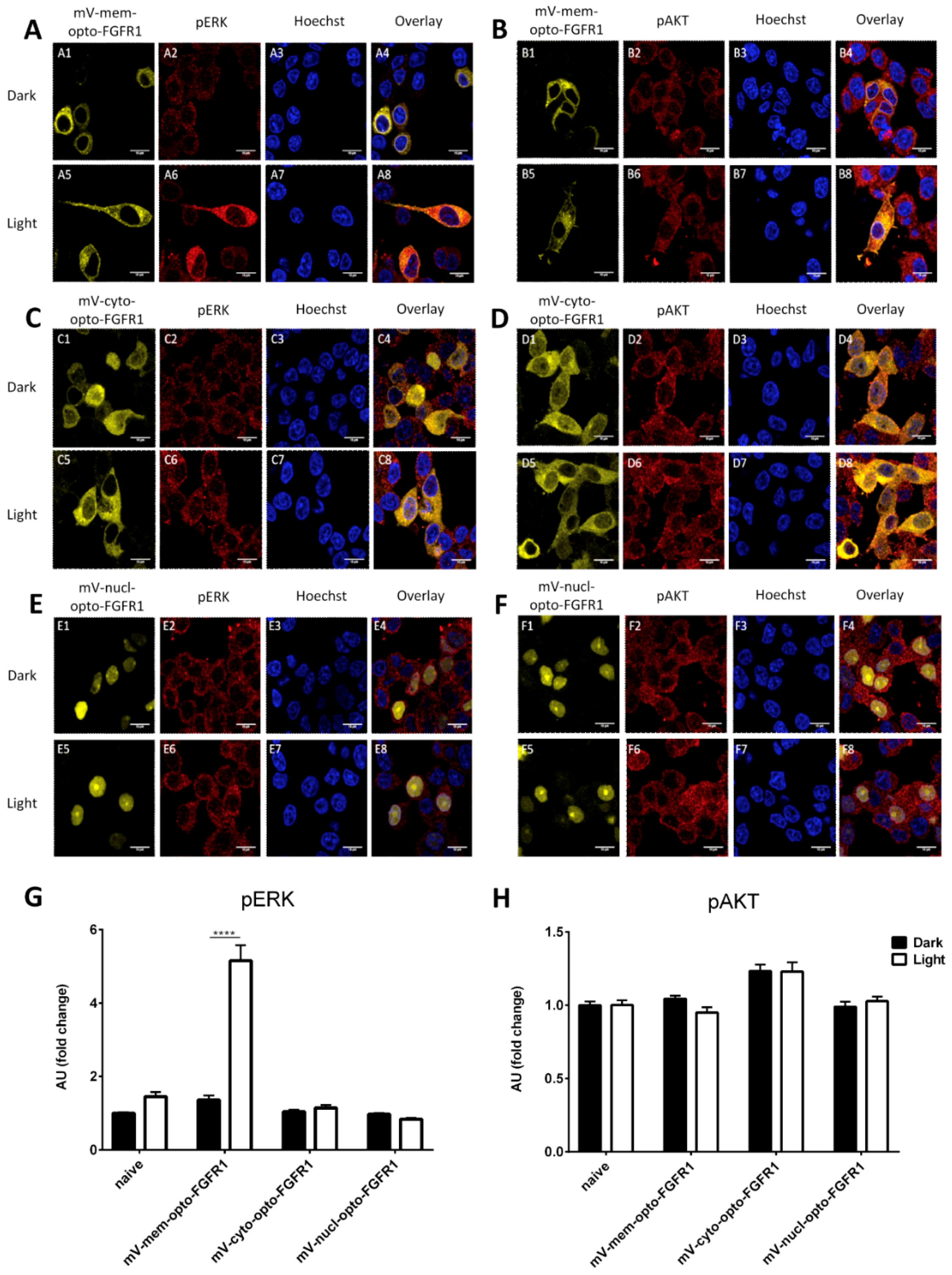 Cells 08 00243 g004
