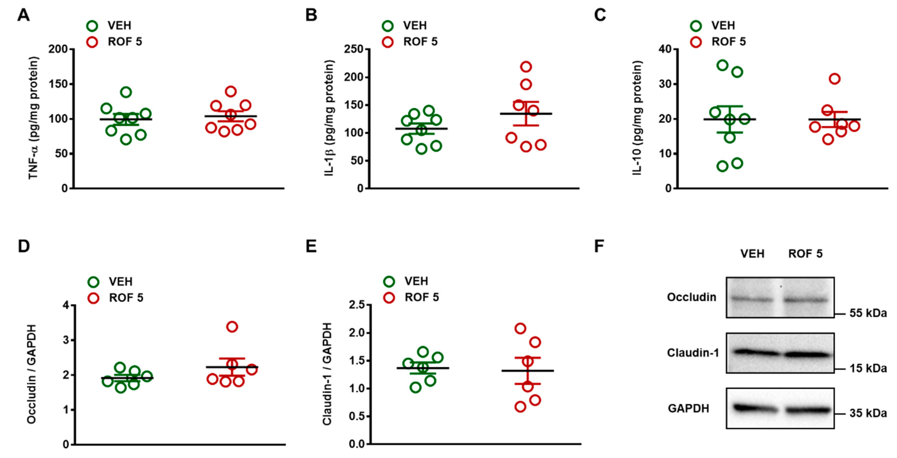 Cells 08 00251 g003 Cells 08 00251 g003