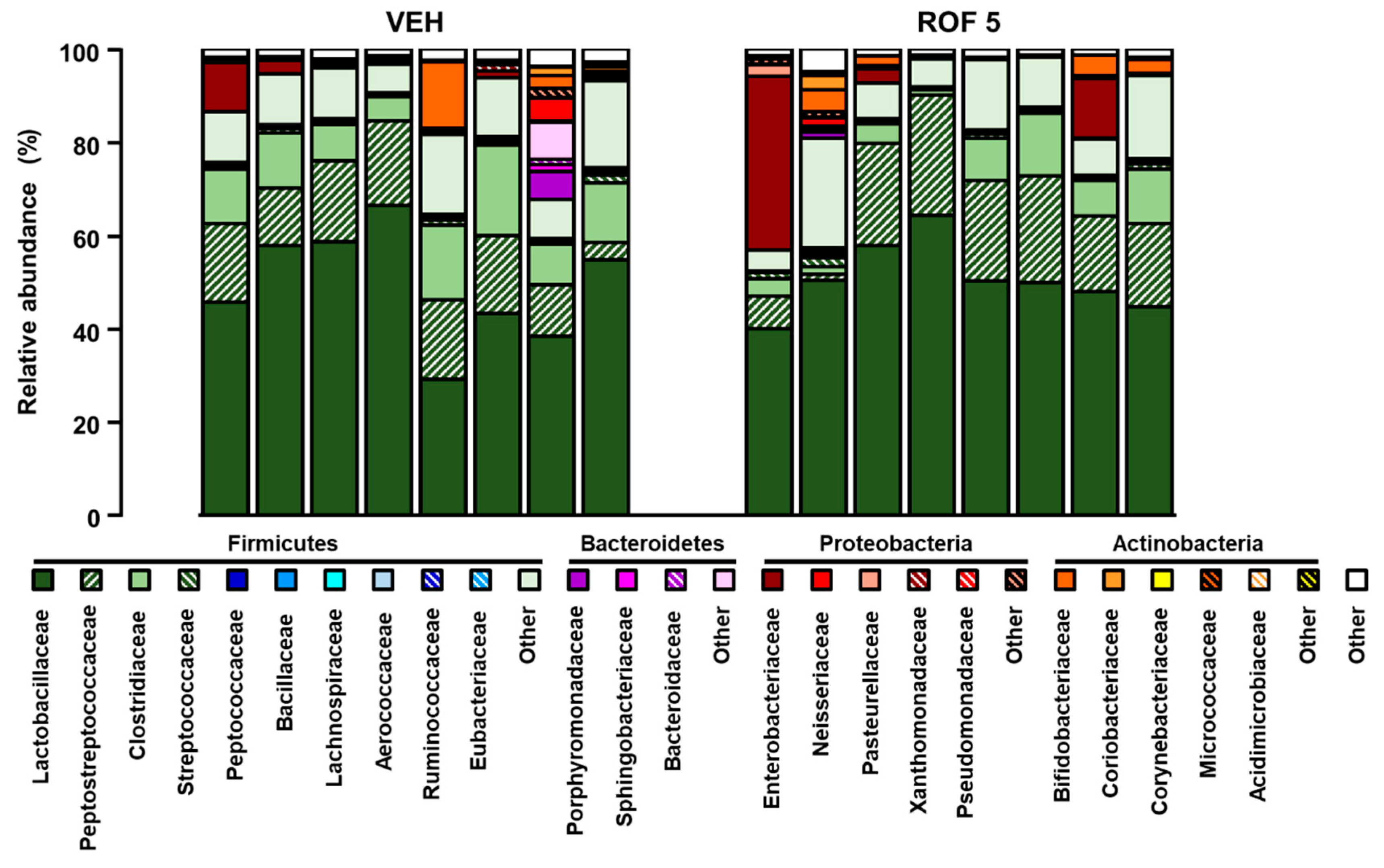 Cells 08 00251 g004 Cells 08 00251 g004