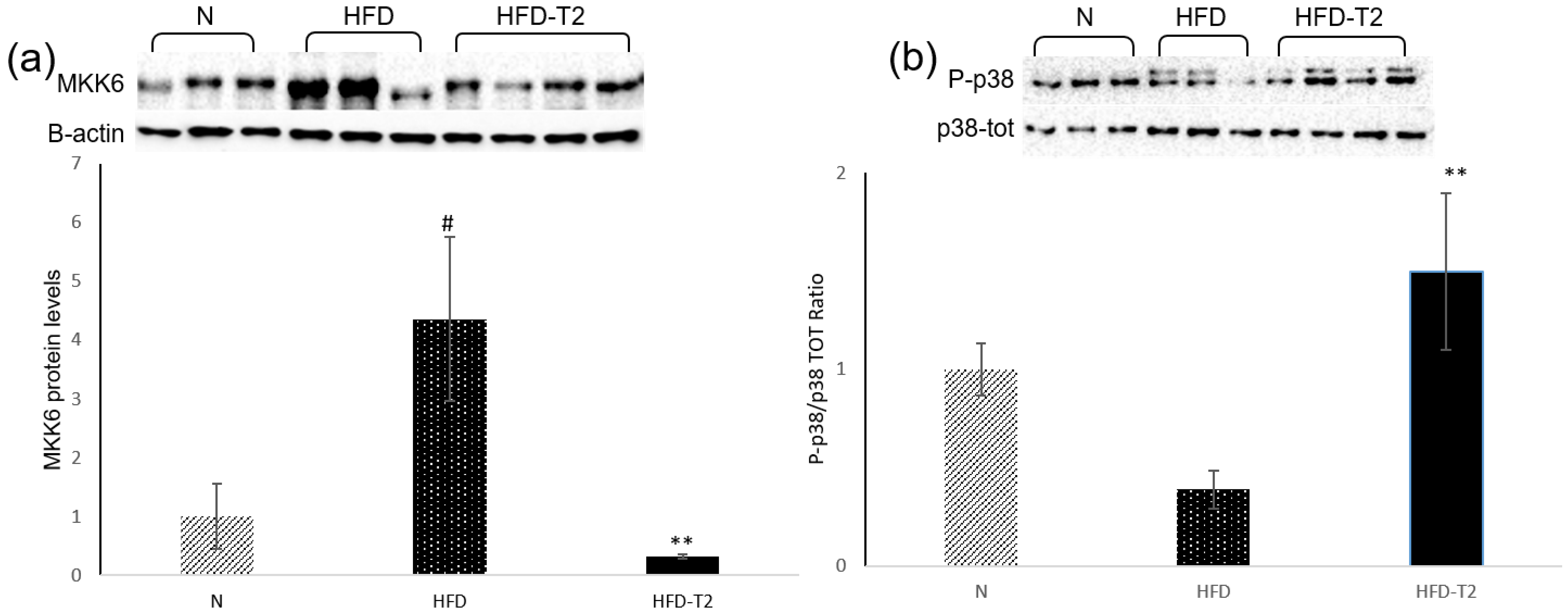 Cells 08 00256 g008 Cells 08 00256 g008