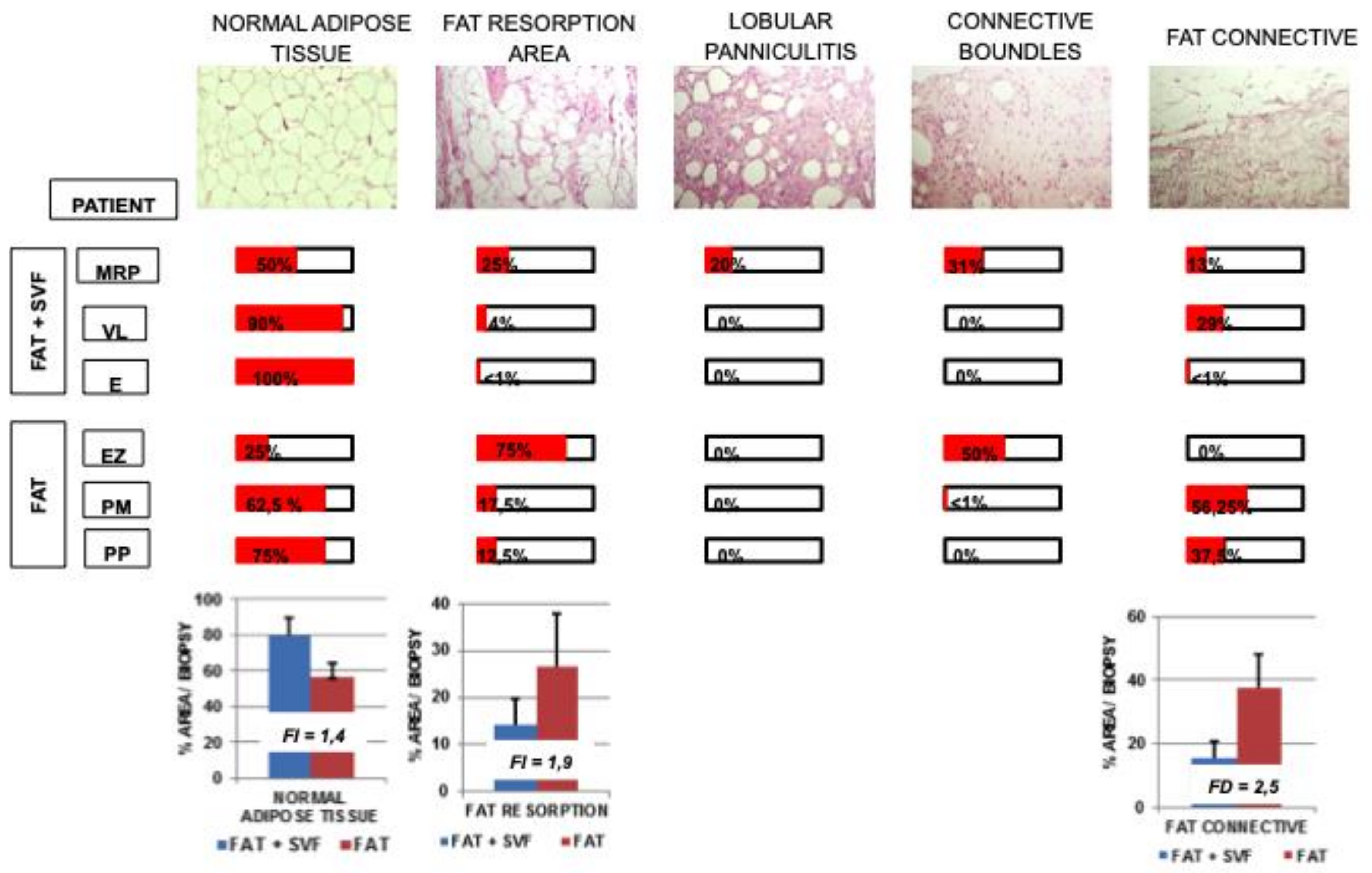Cells 08 00282 g004 Cells 08 00282 g004