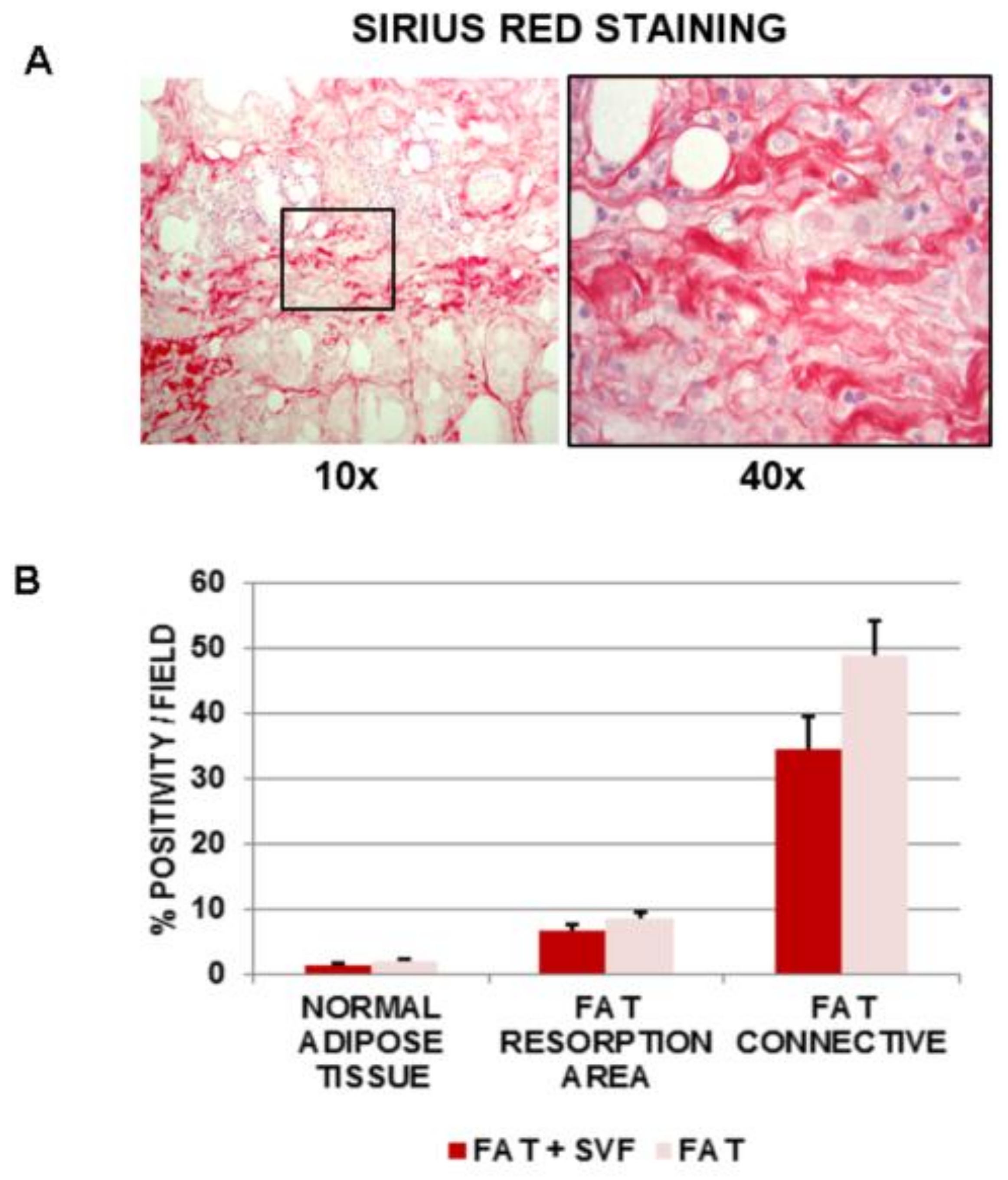 Cells 08 00282 g005 Cells 08 00282 g005