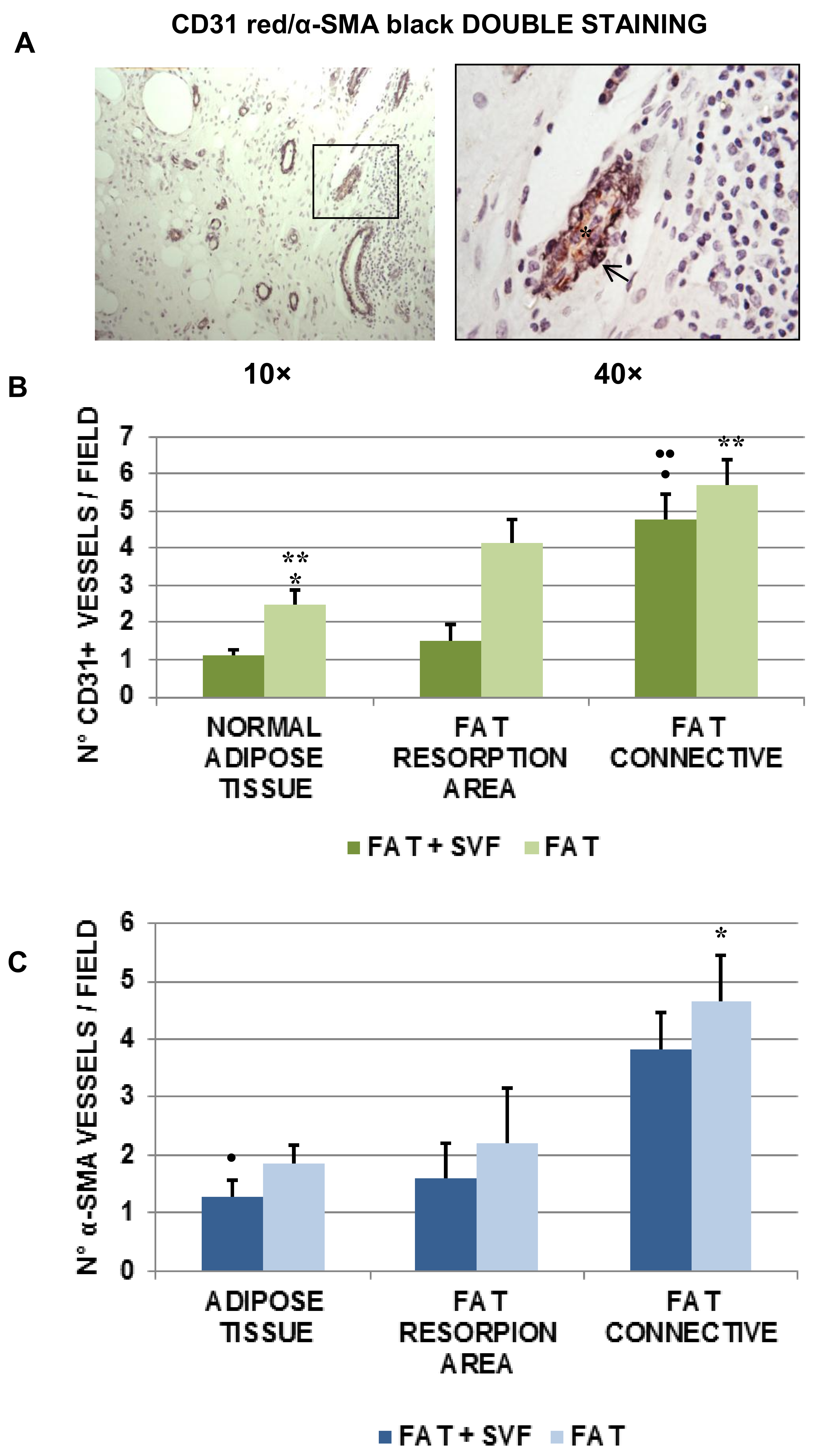 Cells 08 00282 g006 Cells 08 00282 g006