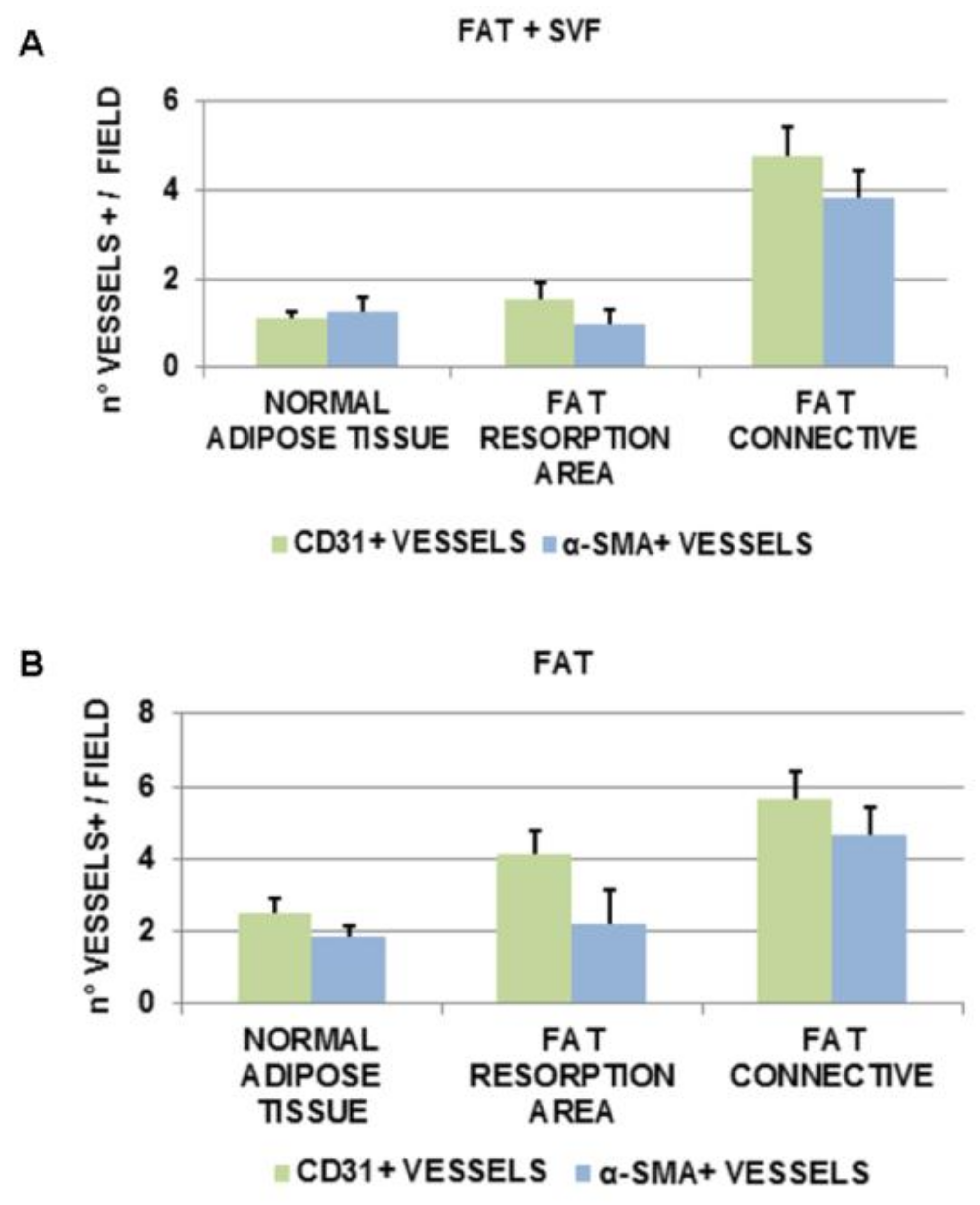 Cells 08 00282 g007 Cells 08 00282 g007